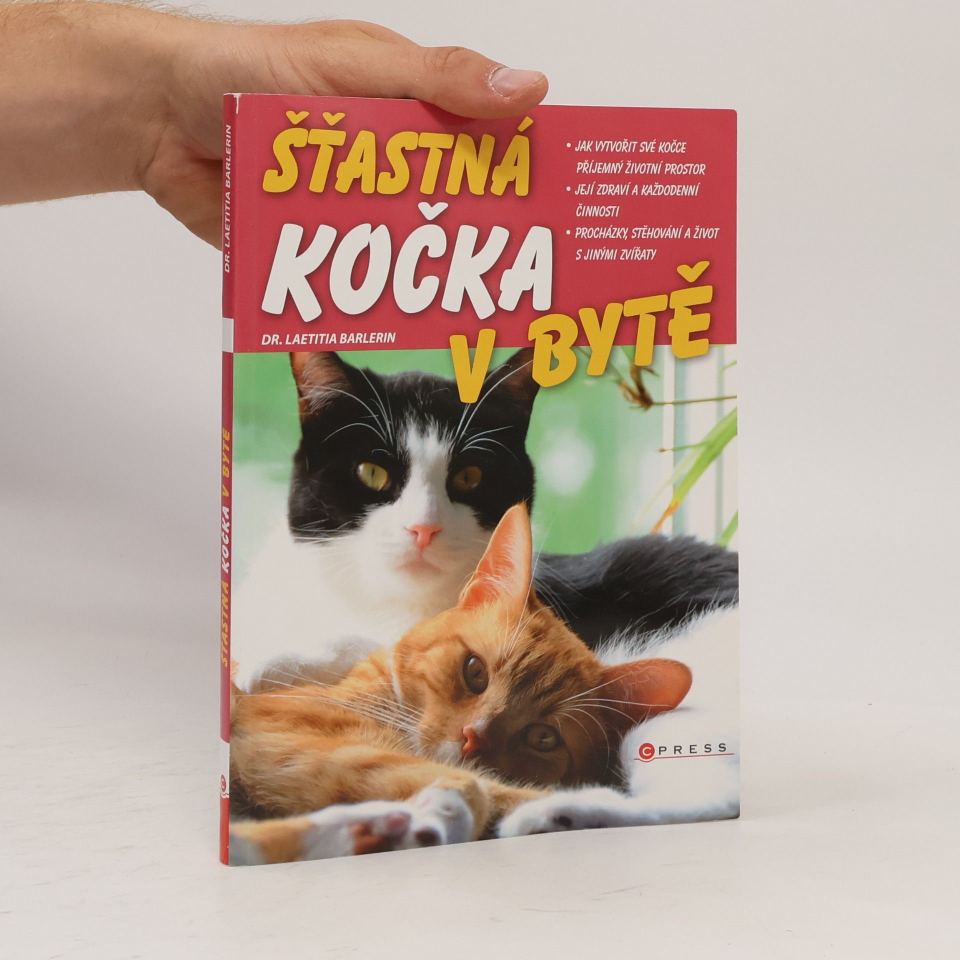 Šťastná kočka v bytě
