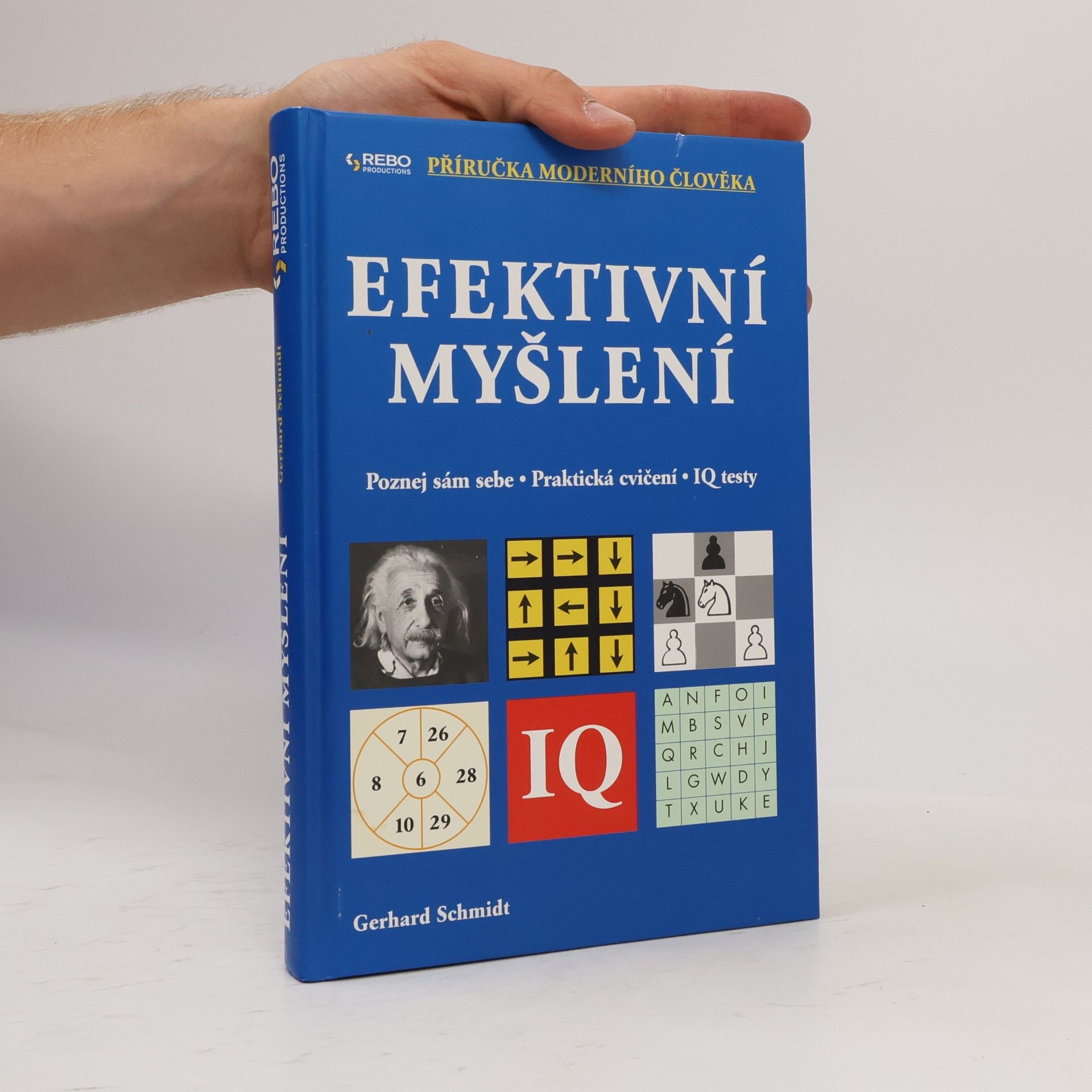 Gerhard Schmidt Efektivní myšlení