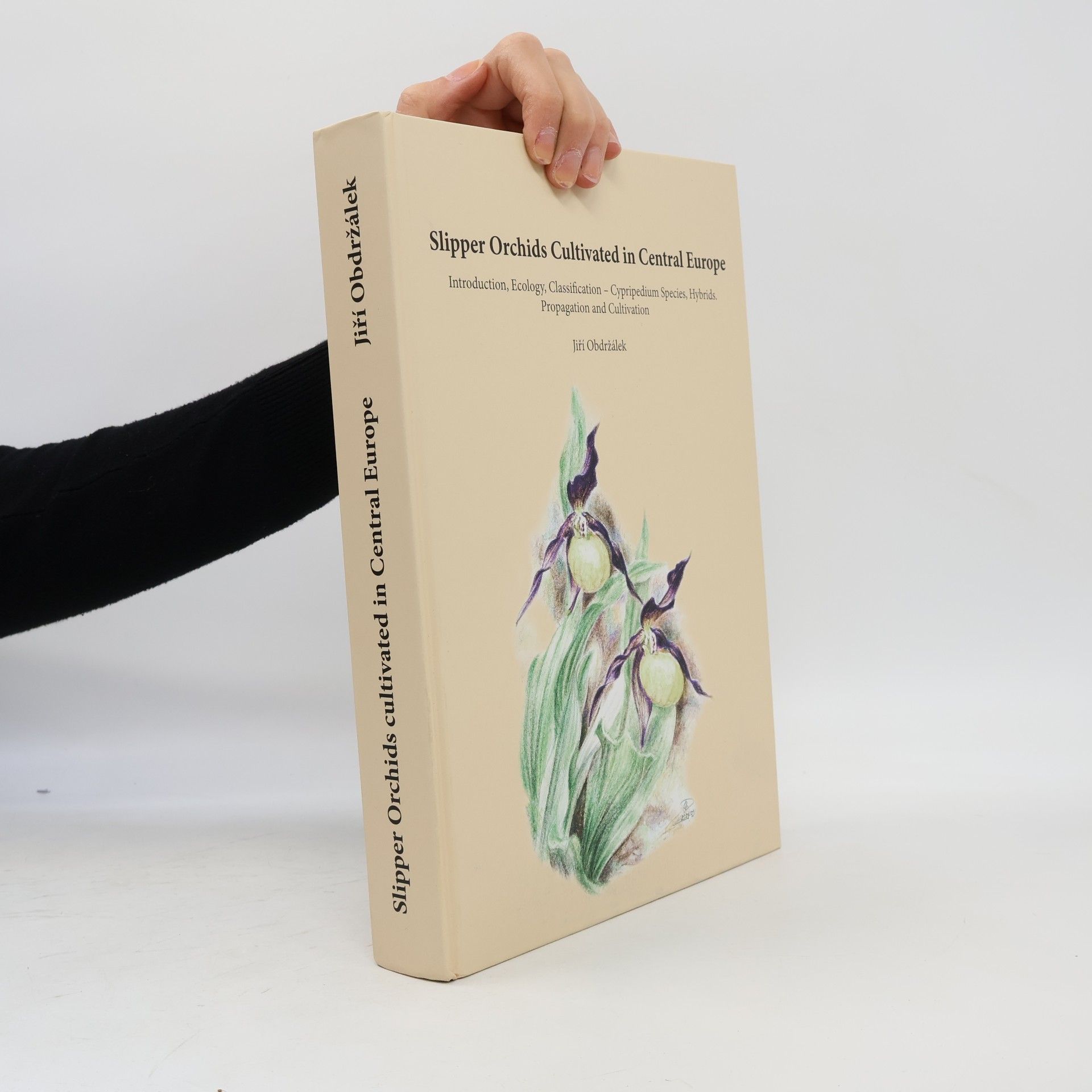 Slipper Orchids Cultivated in Central Europe