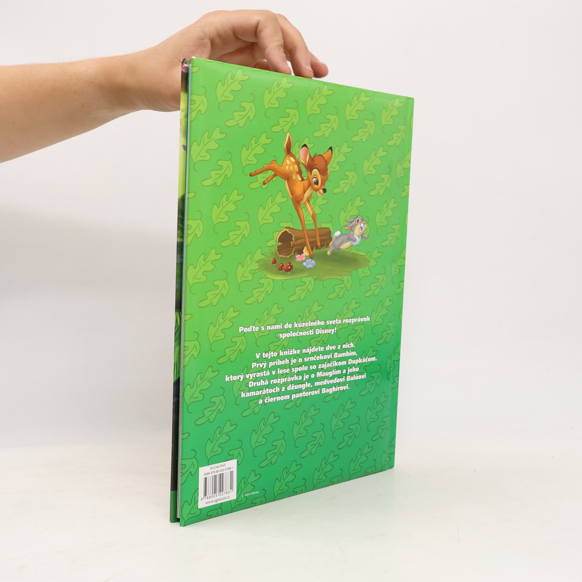 Auteurscollectief Bambi. Kniha Džungle