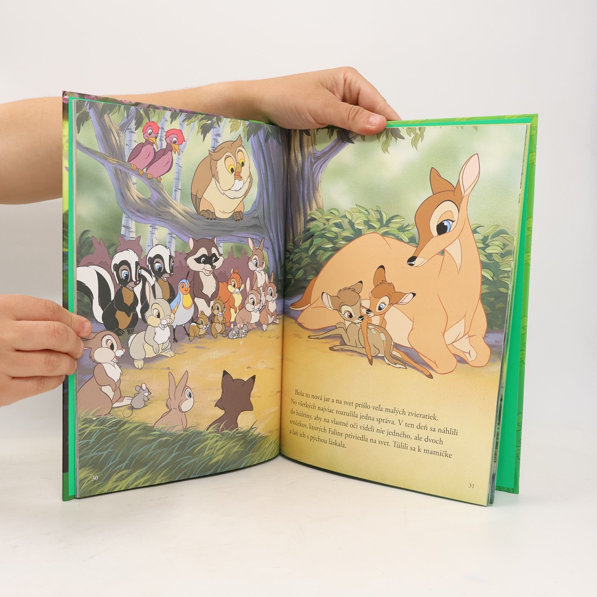 Auteurscollectief Bambi. Kniha Džungle