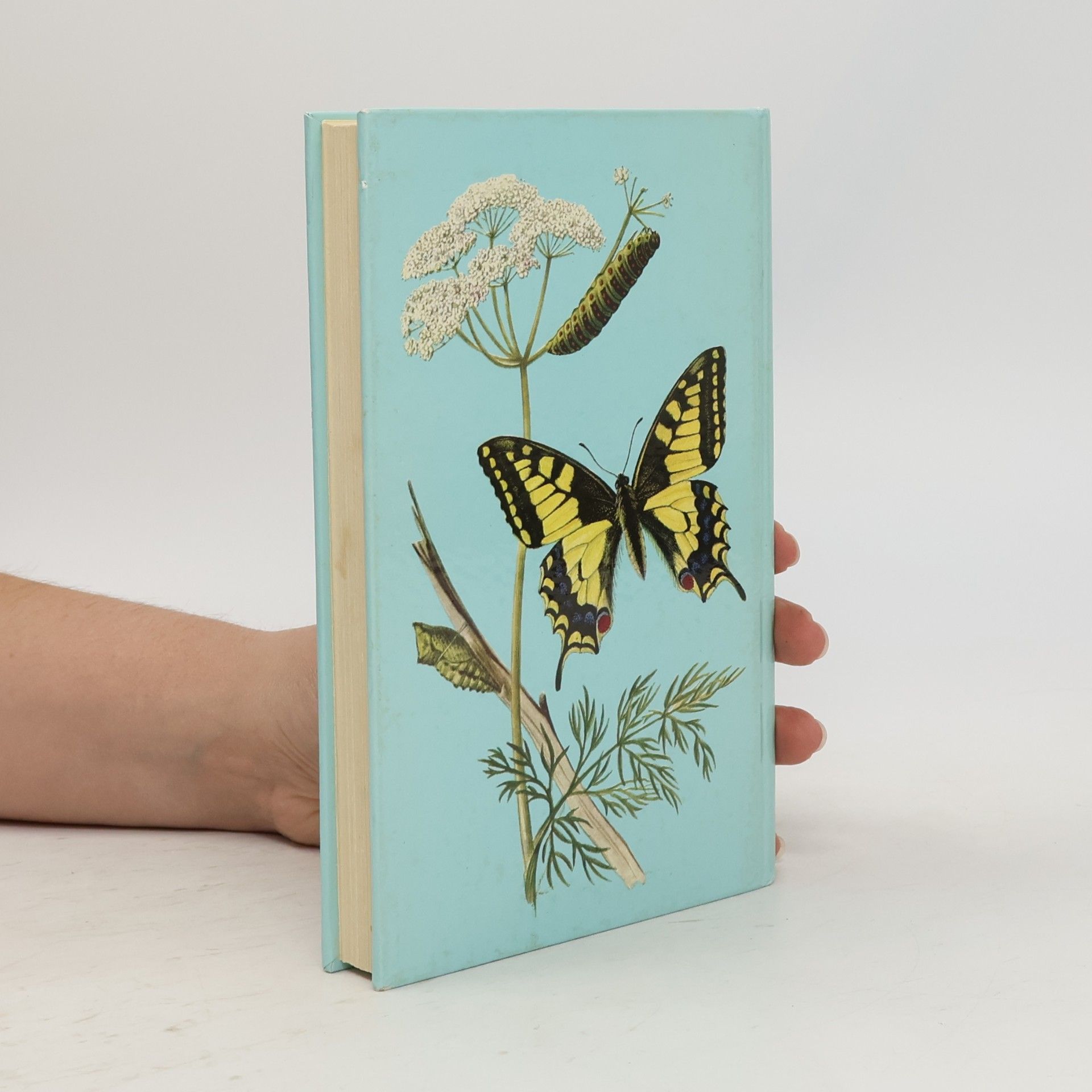 Josef Moucha A colour guide to familiar Butterflies, Caterpillars and Chrysalides