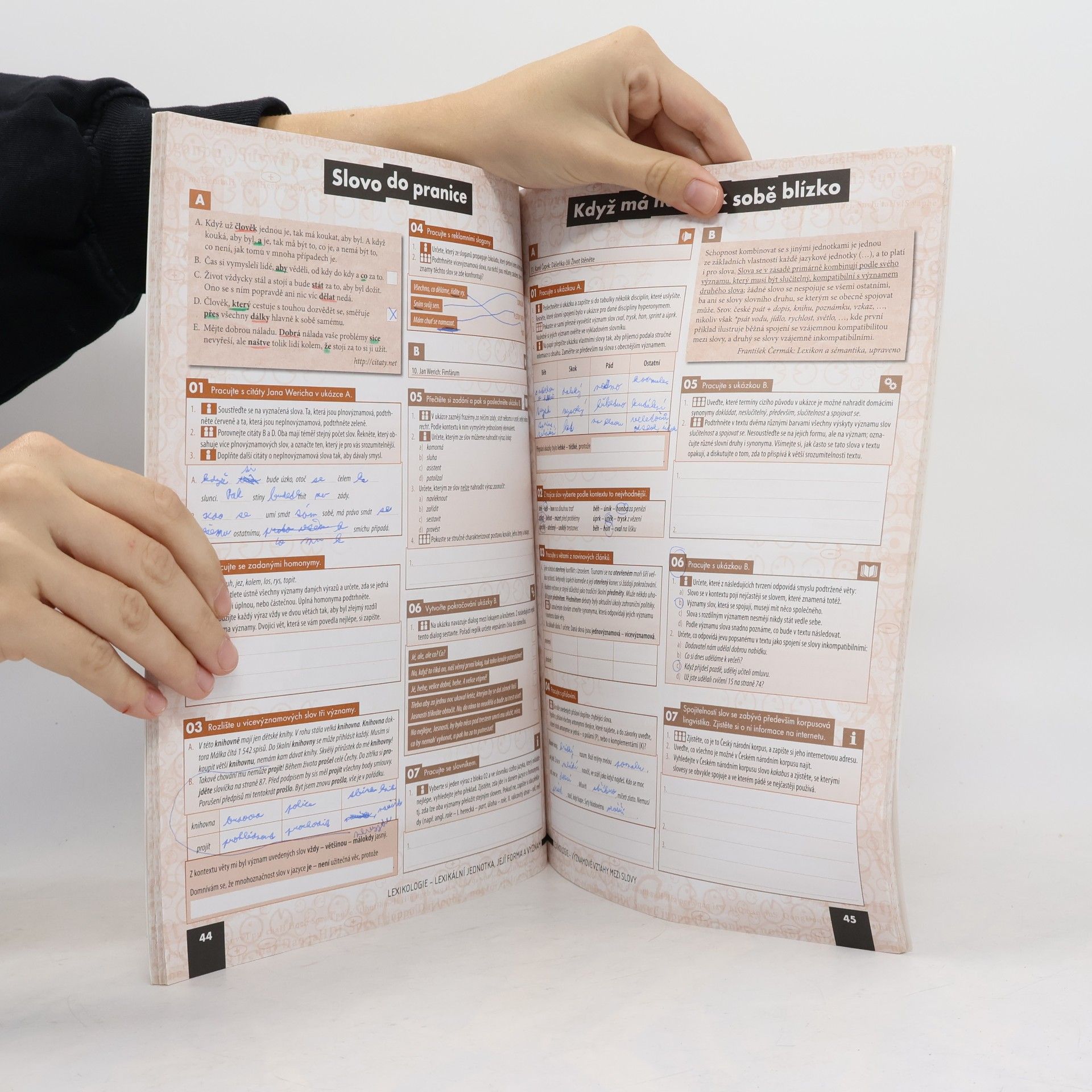Various authors Český jazyk a komunikace pro SŠ 2. díl pracovní sešit