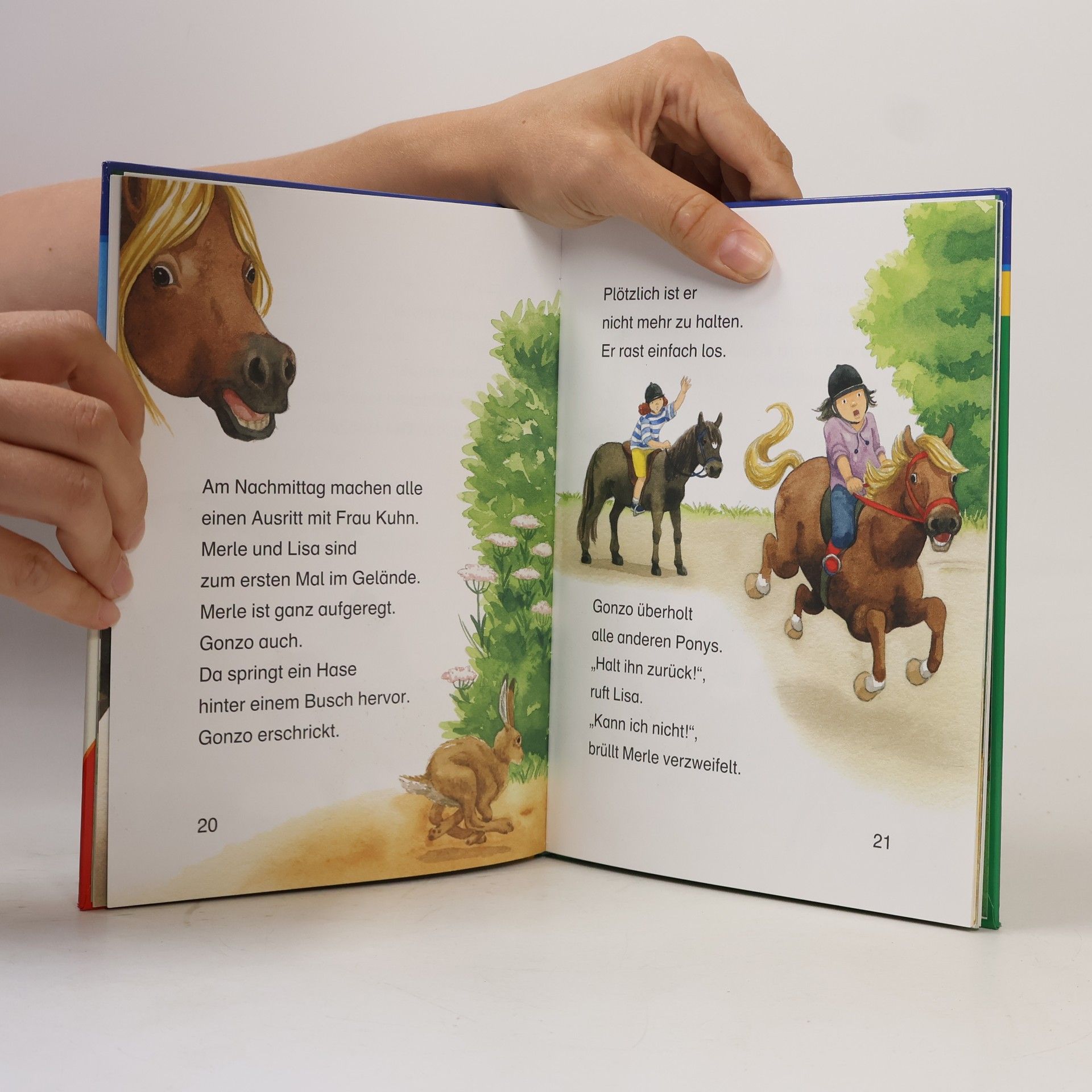 Karin Elke Merle und das freche Pony