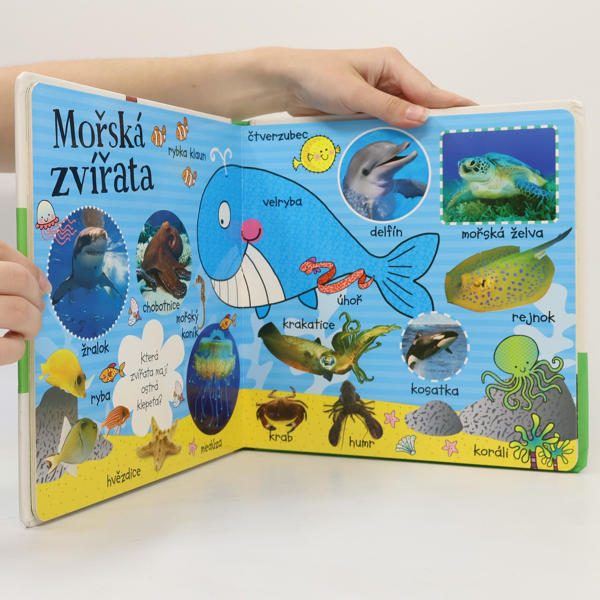 Autorenkollektiv Prvních 100 zvířátek