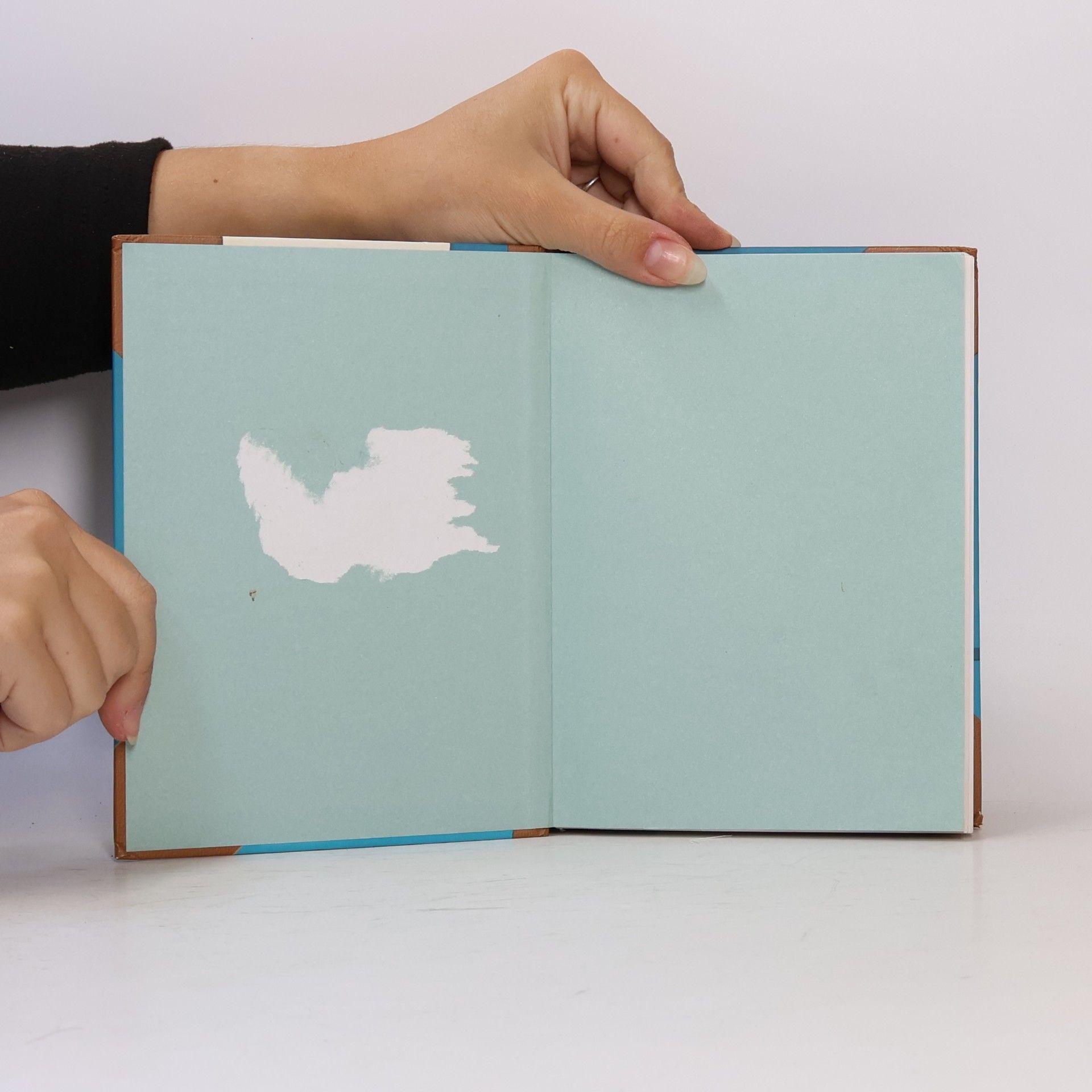 Autores varios Angry Birds Stella. Stella už toho má dost!