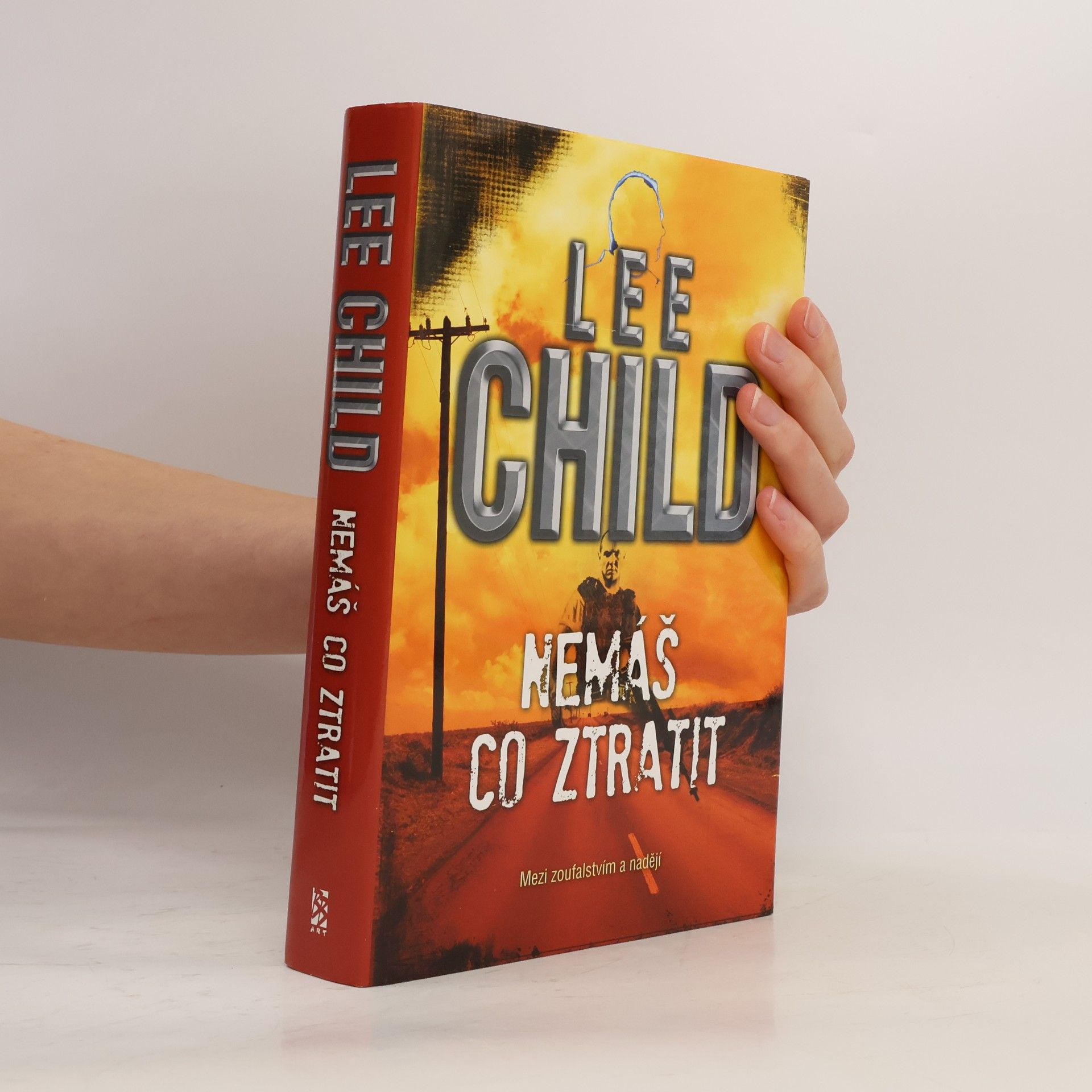 Lee Child Nemáš co ztratit