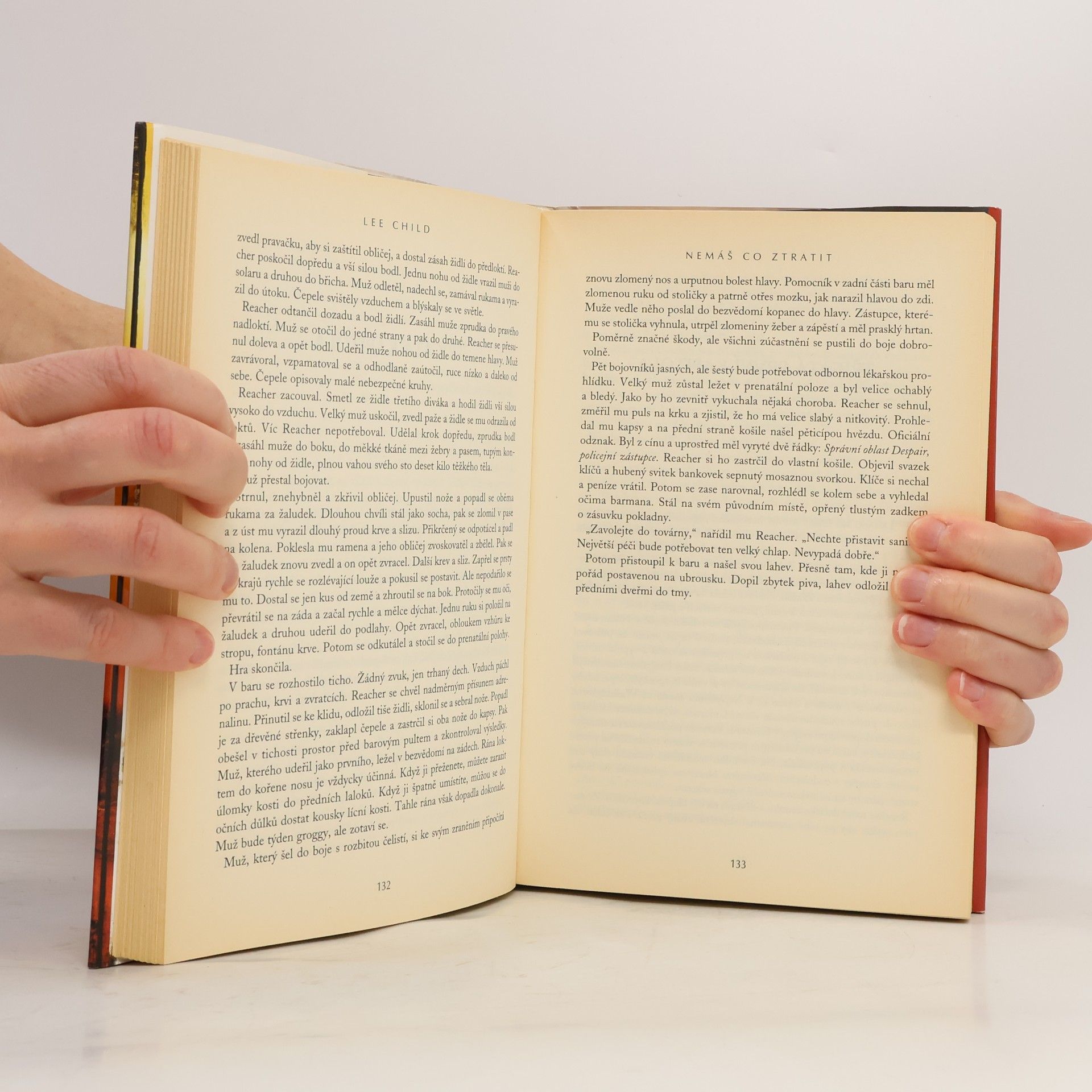 Lee Child Nemáš co ztratit
