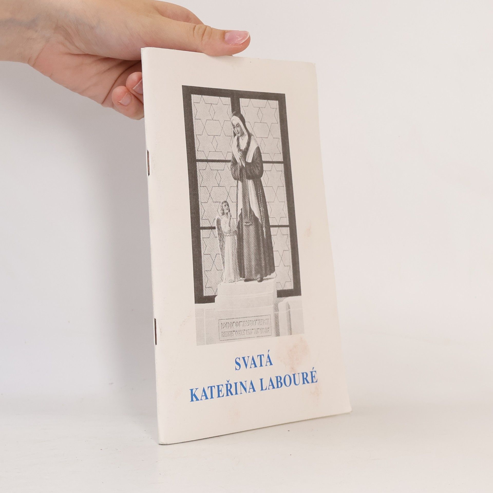 Autores varios Svatá Kateřina Labouré