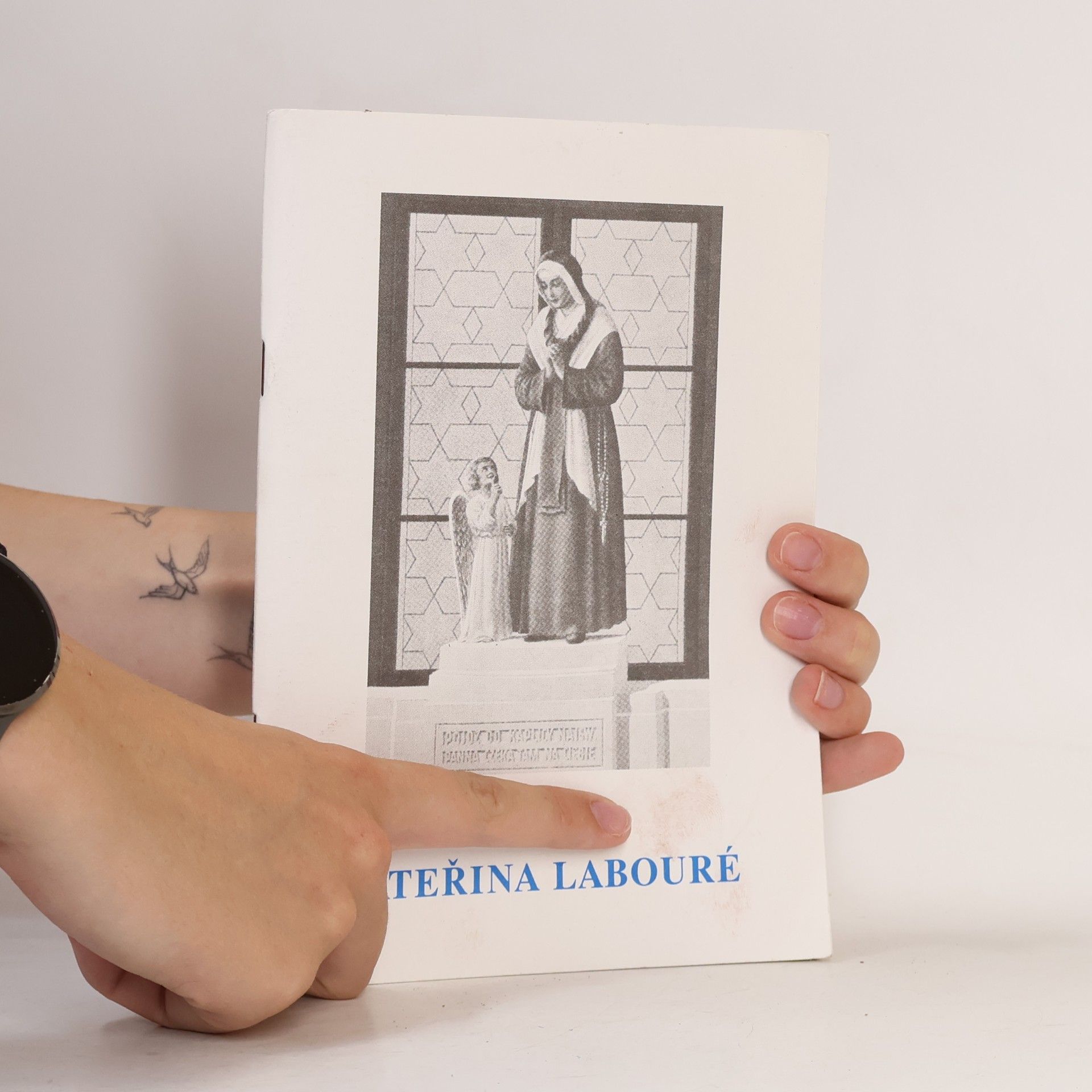 Autores varios Svatá Kateřina Labouré