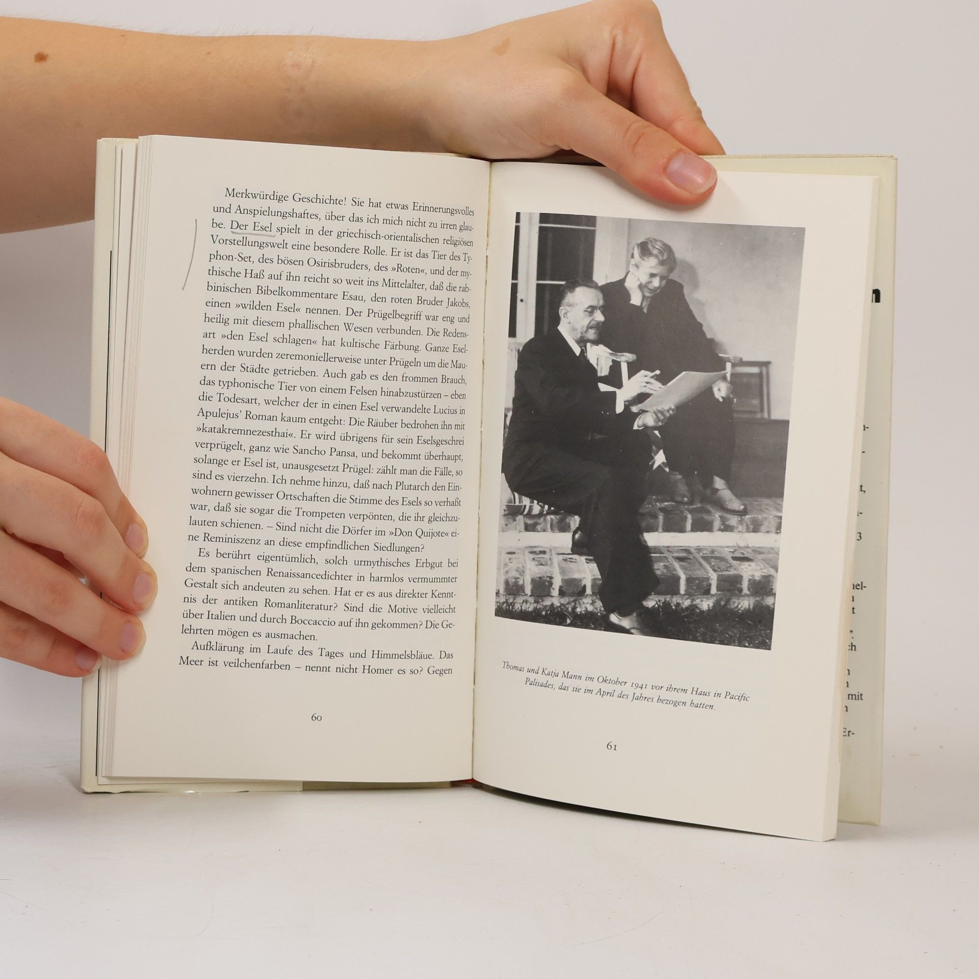 Thomas Mann Meerfahrt mit Don Quijote