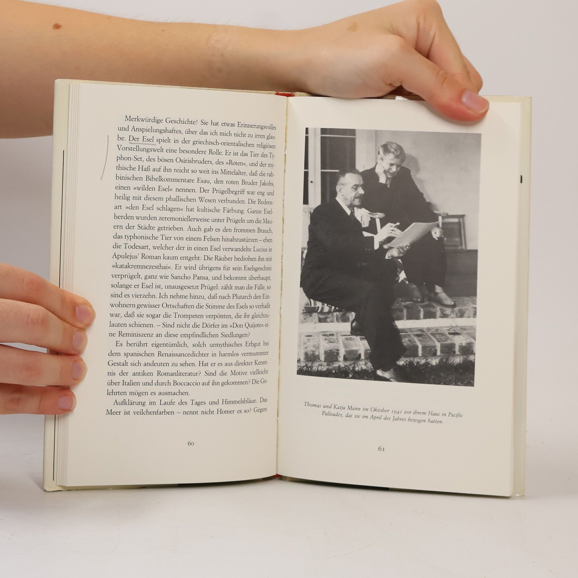Thomas Mann Meerfahrt mit Don Quijote