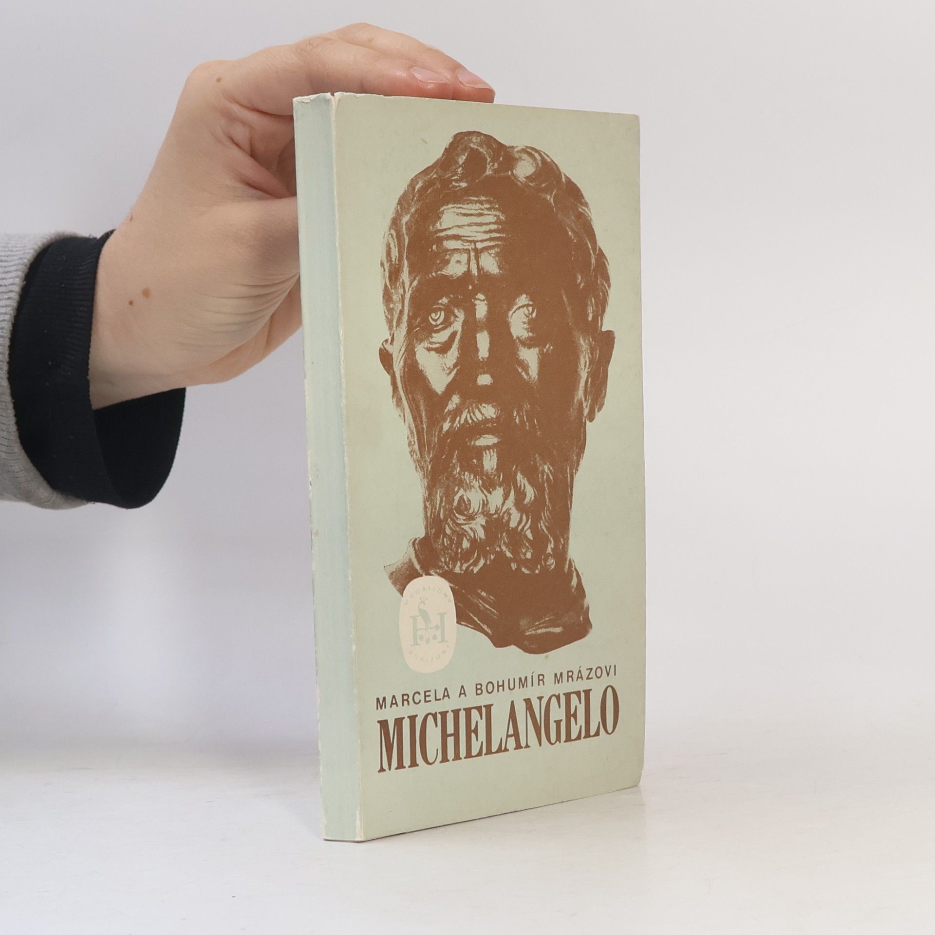 Michelangelo