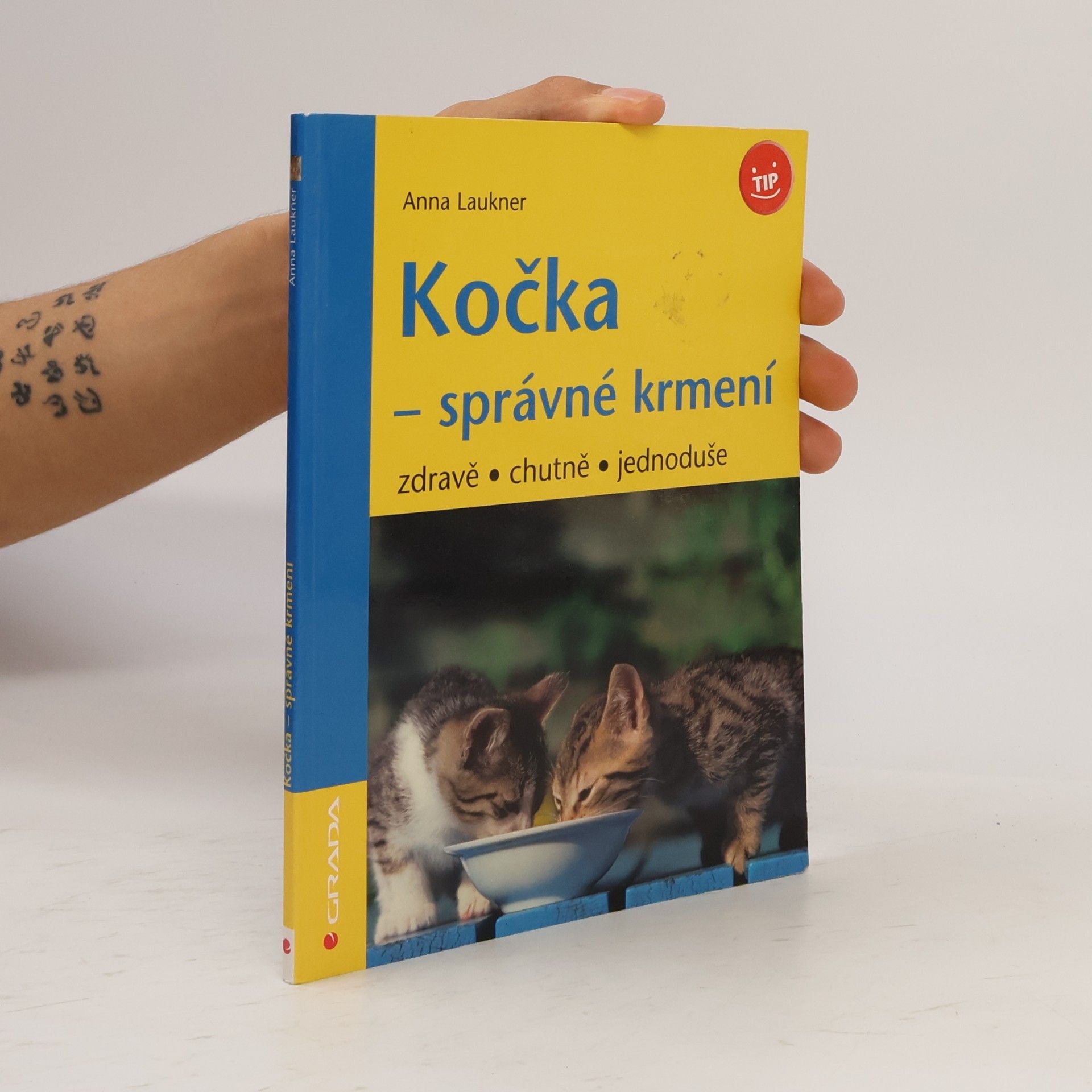 Kočka - správné krmení : zdravě, chutně, jednoduše