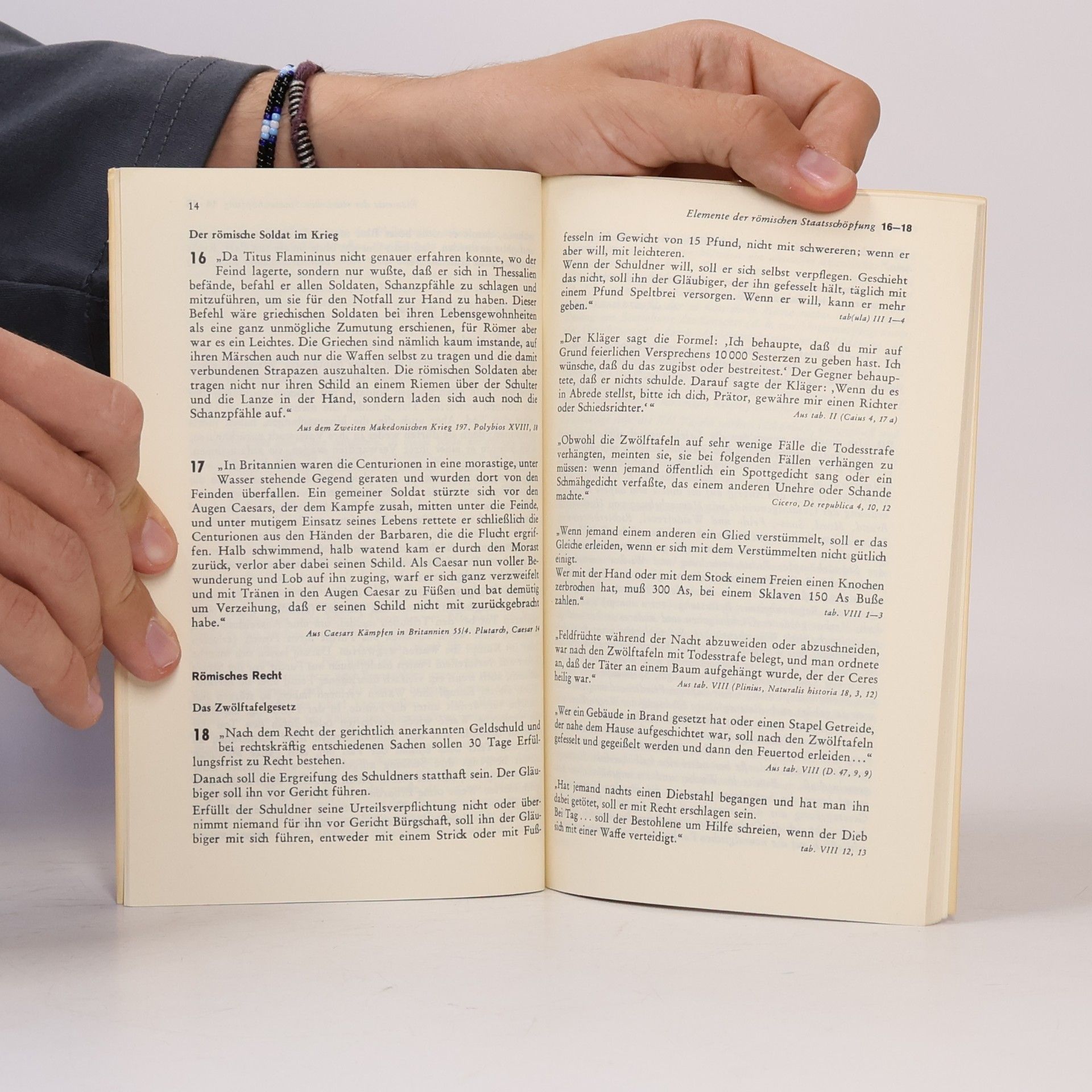 Otto Kampe Die römische Republik und ihre Auseinandersetzung mit den Großmächten des Mittelmeerraumes (bis 168)