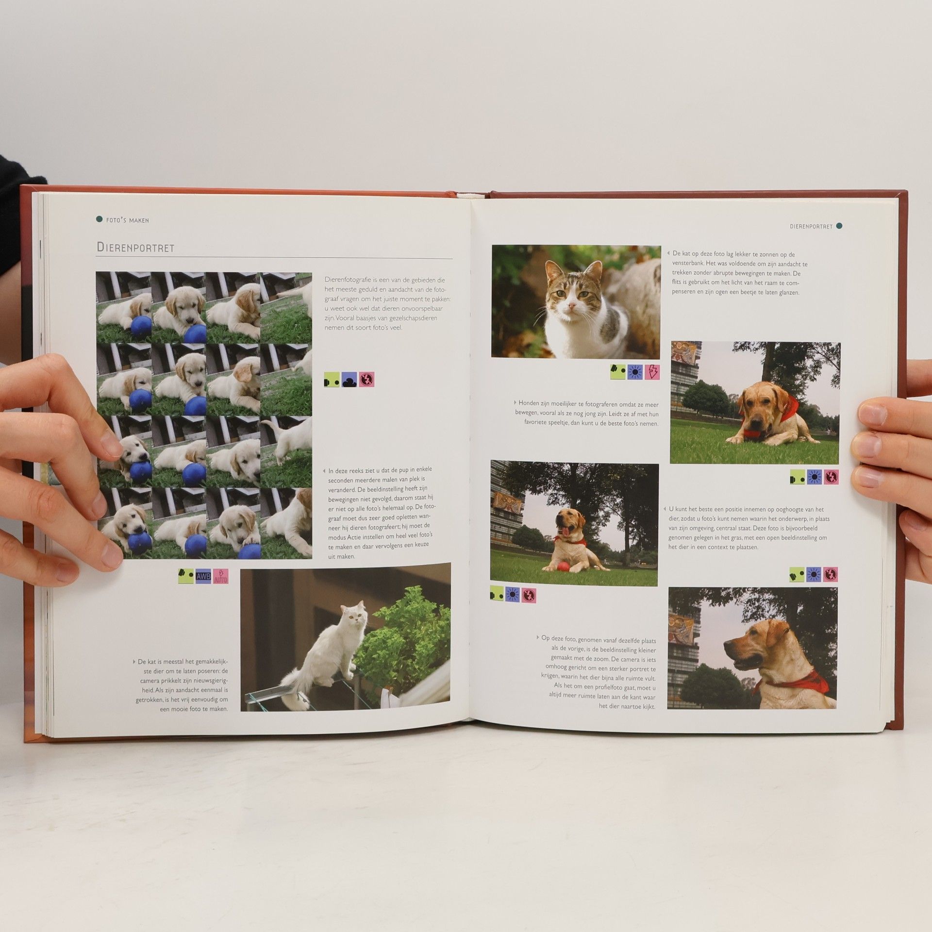 Vigue, J. Digitale Fotografie in de praktijk