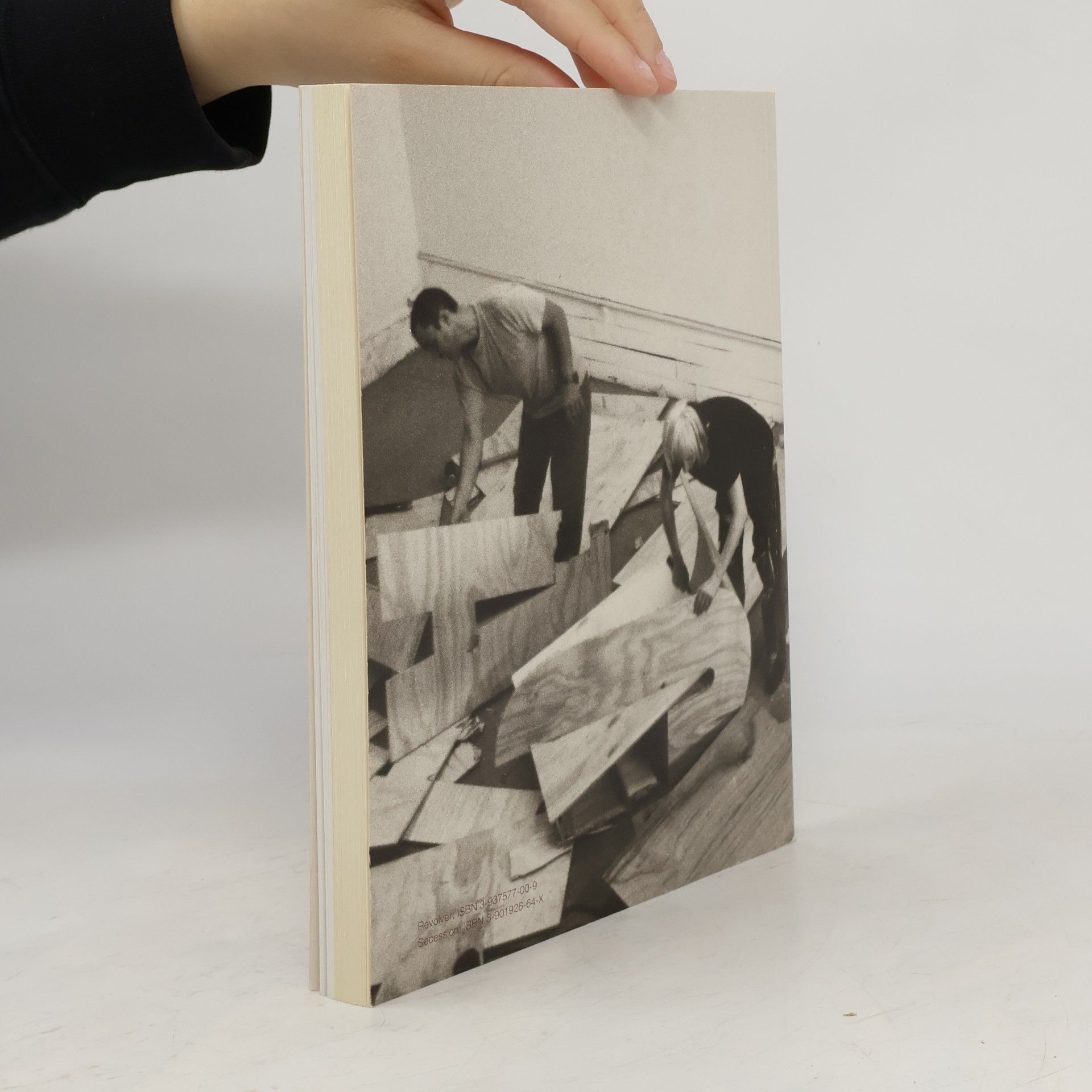 Monica Bonvicini Break It/Fix It