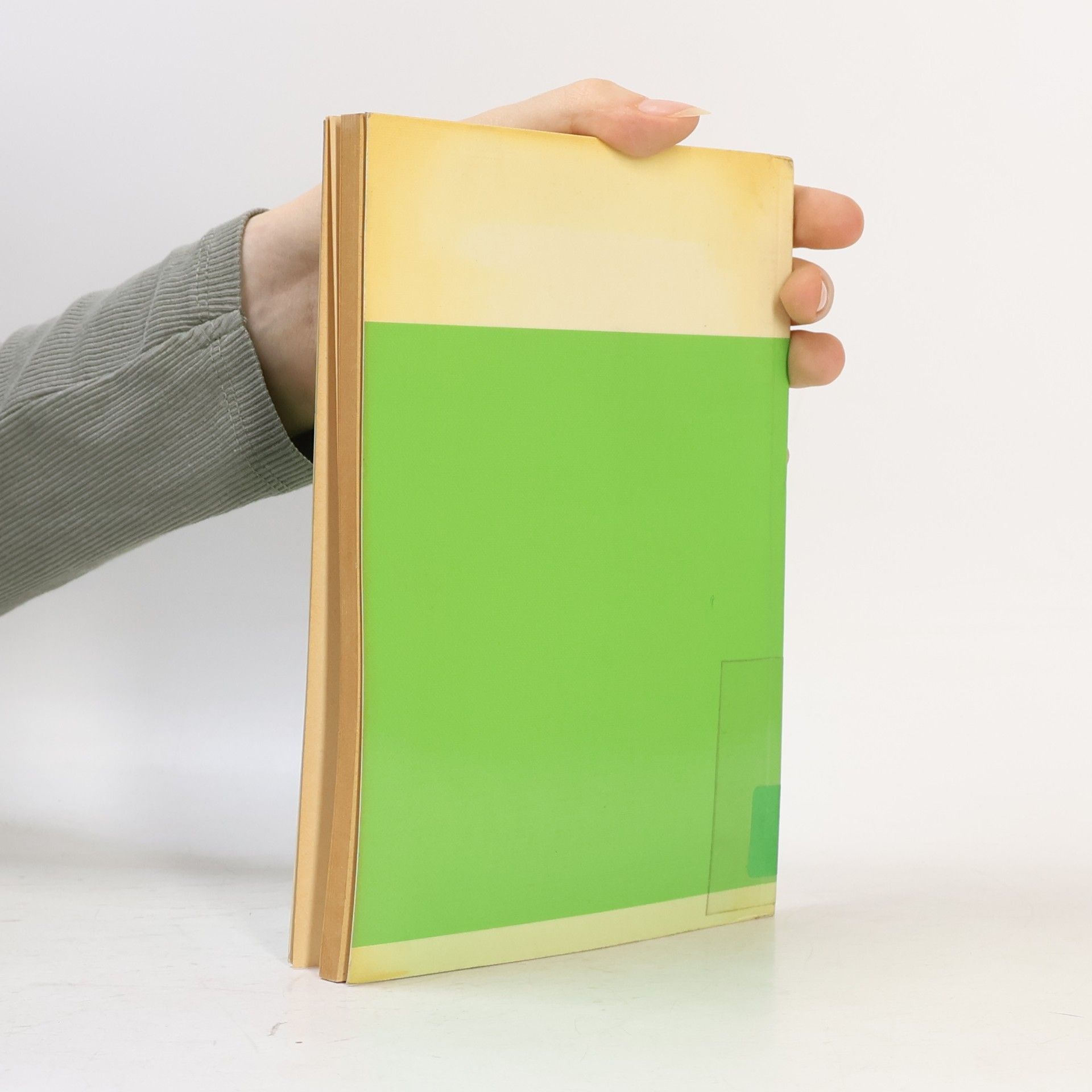 Ernst Pappermann Handbuch der Fachhochschule für Öffentliche Verwaltung Nordrhein-Westfalen