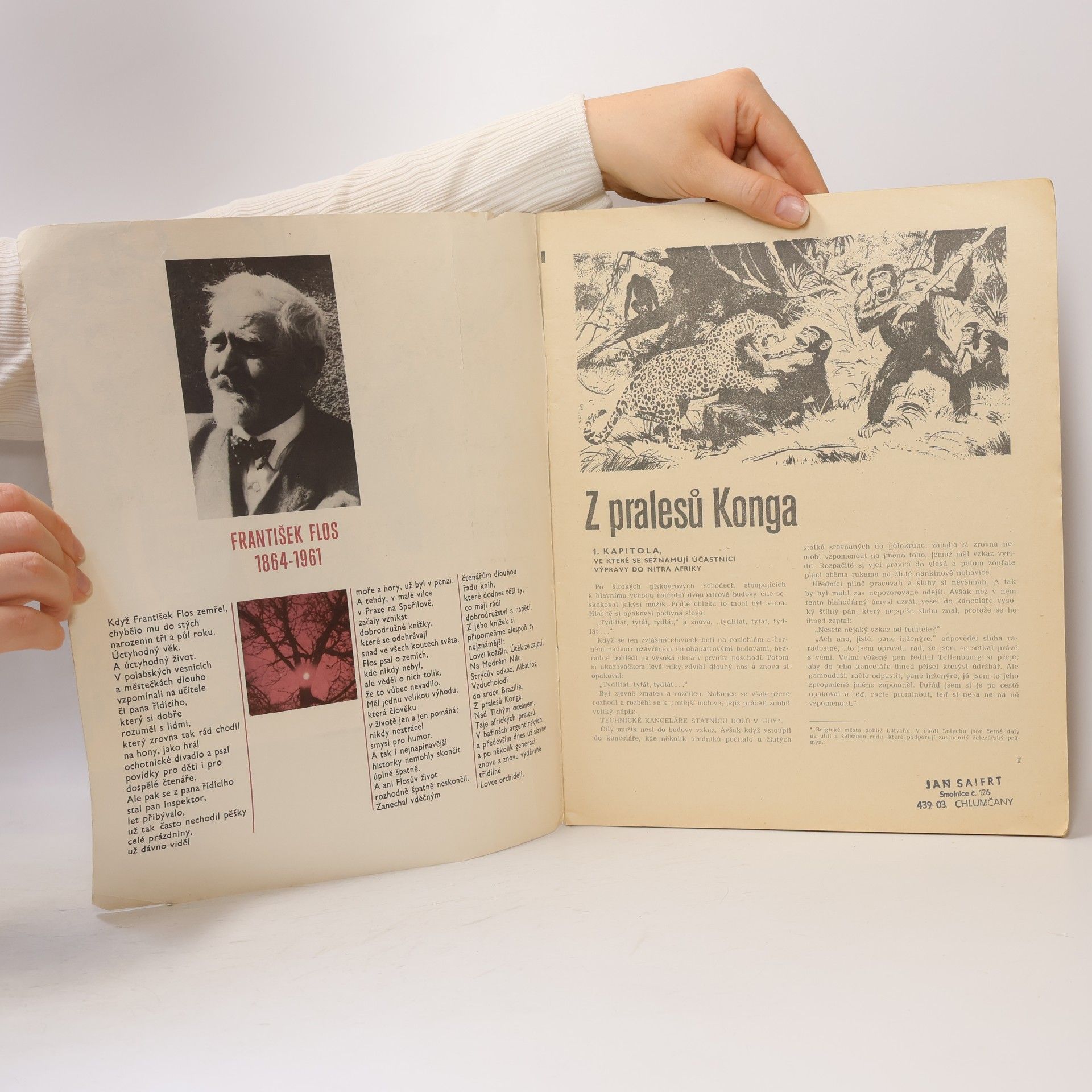František Flos Karavana č. 156, Z pralesů Konga