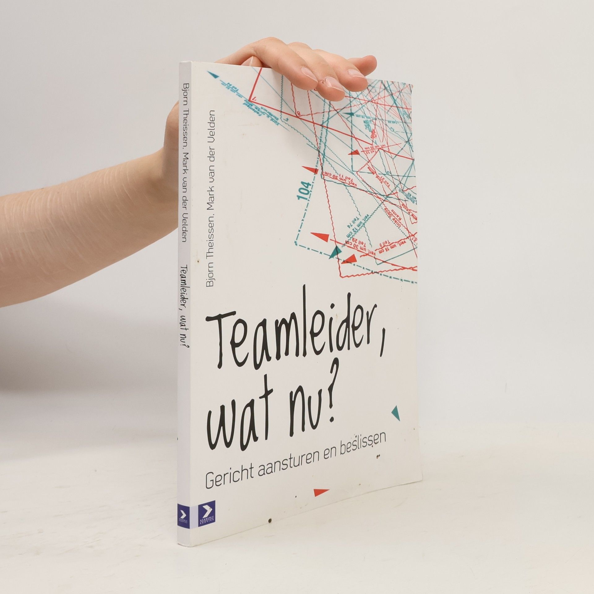 van der Velden, Mark Teamleider, wat nu?: Gericht aansturen en beslissen