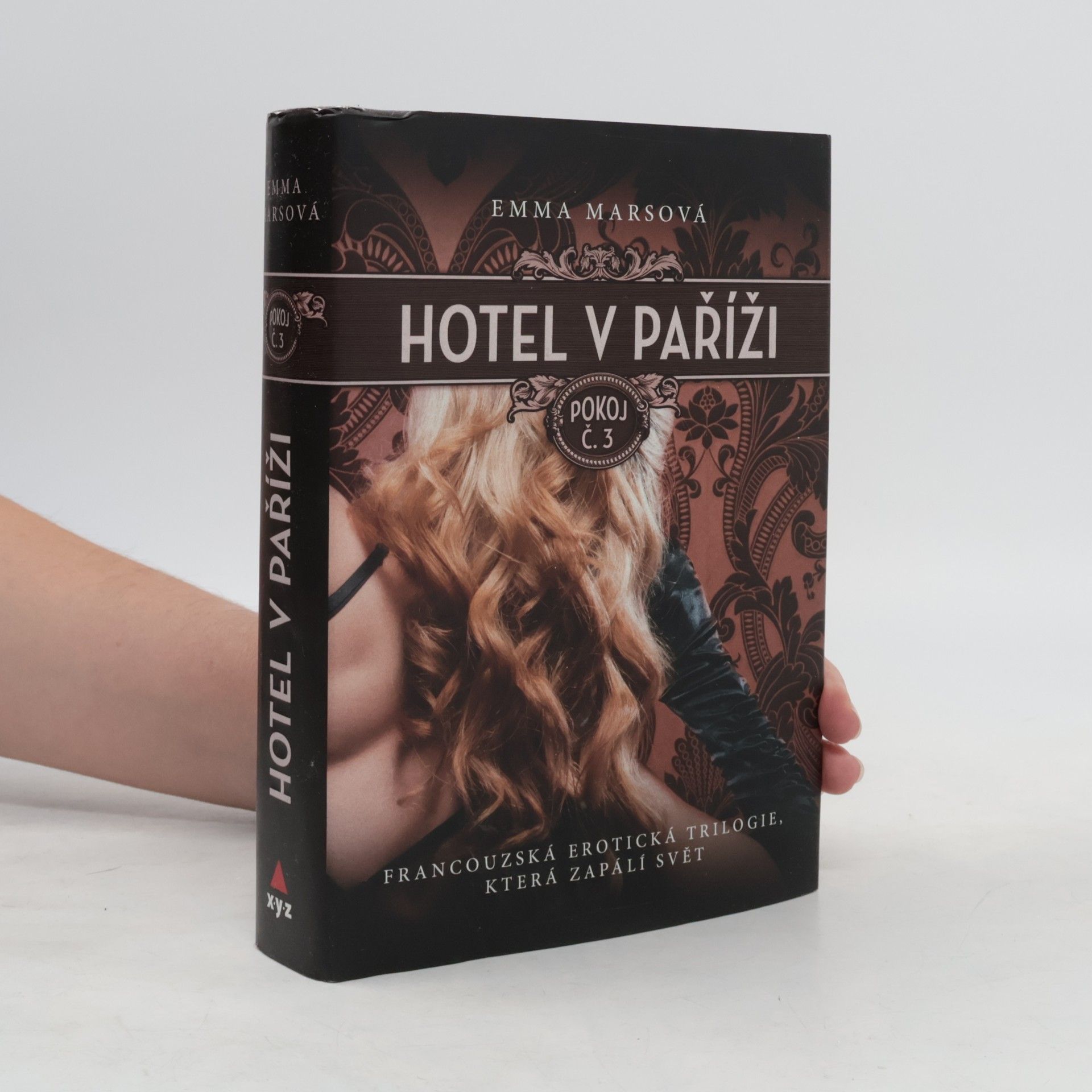 Hotel v Paříži. Pokoj č. 3
