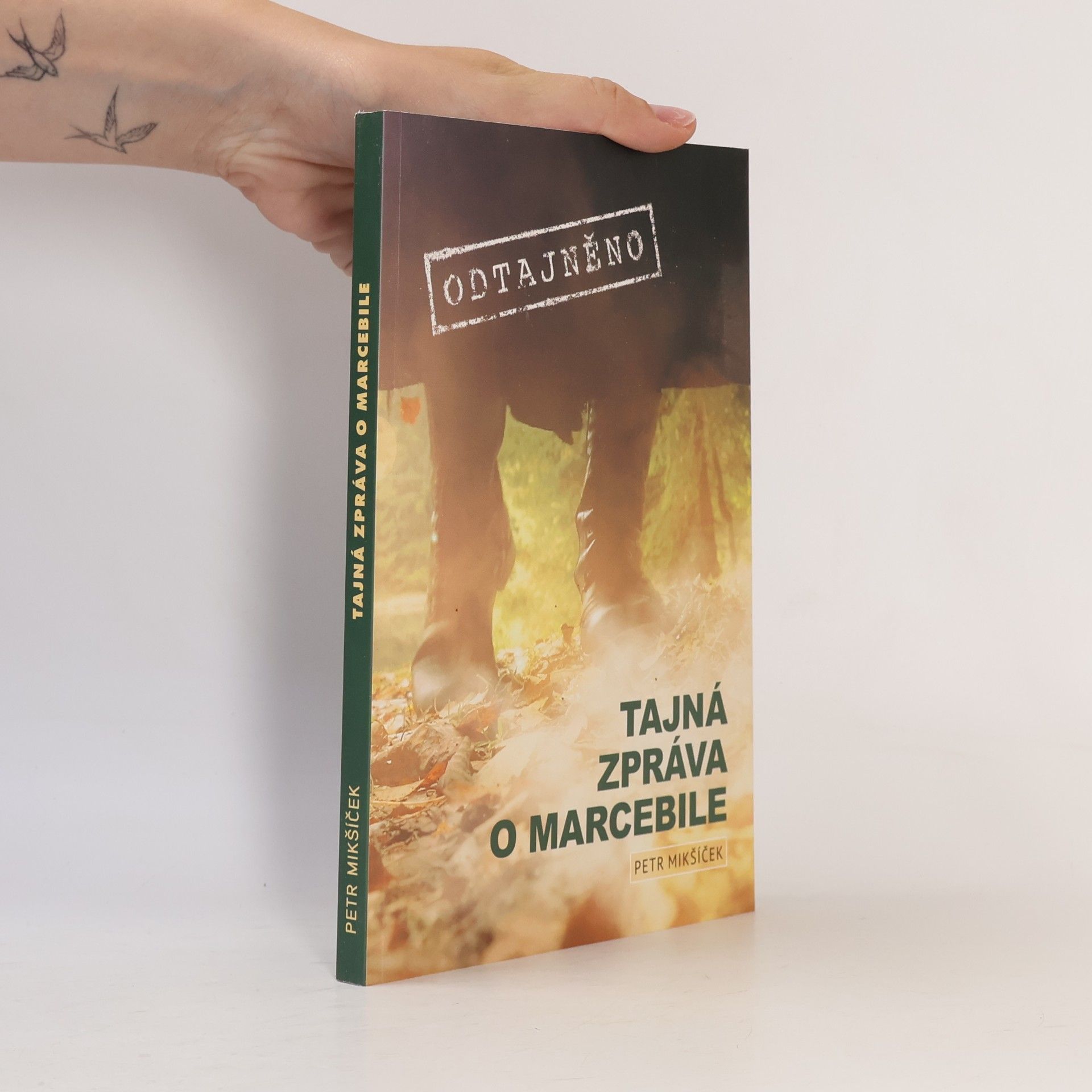 Tajná zpráva o Marcebile