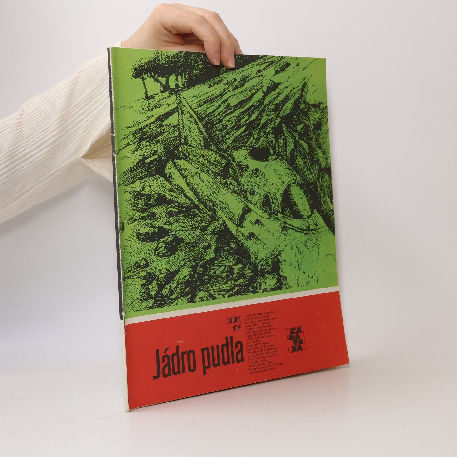 Jádro pudla