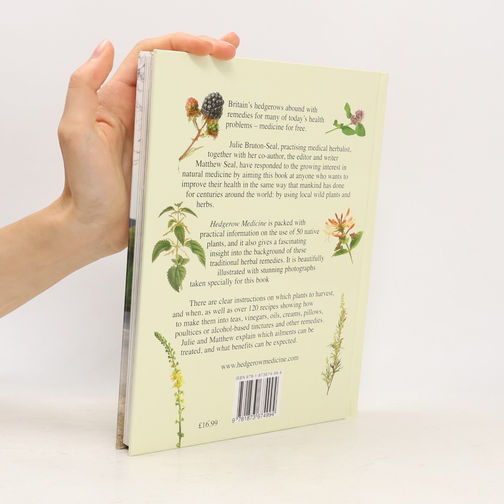 Julie Bruton-Seal Hedgerow Medicine