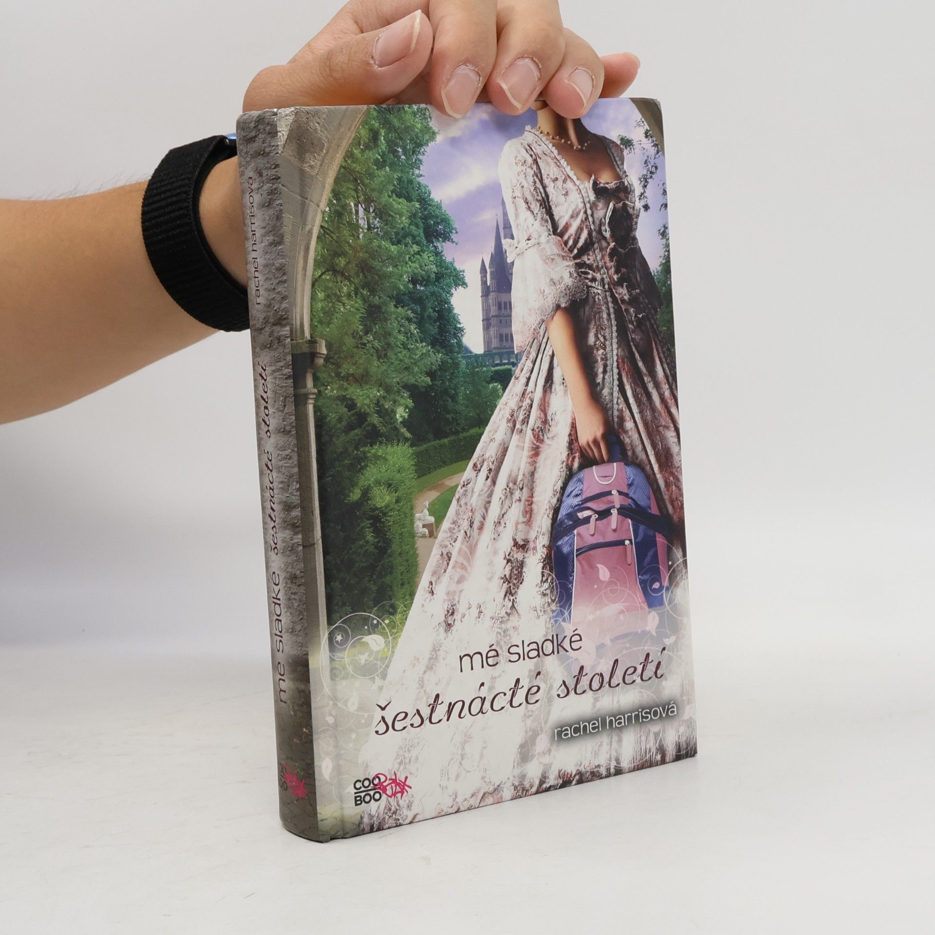 Rachel Harris Mé sladké šestnácté století