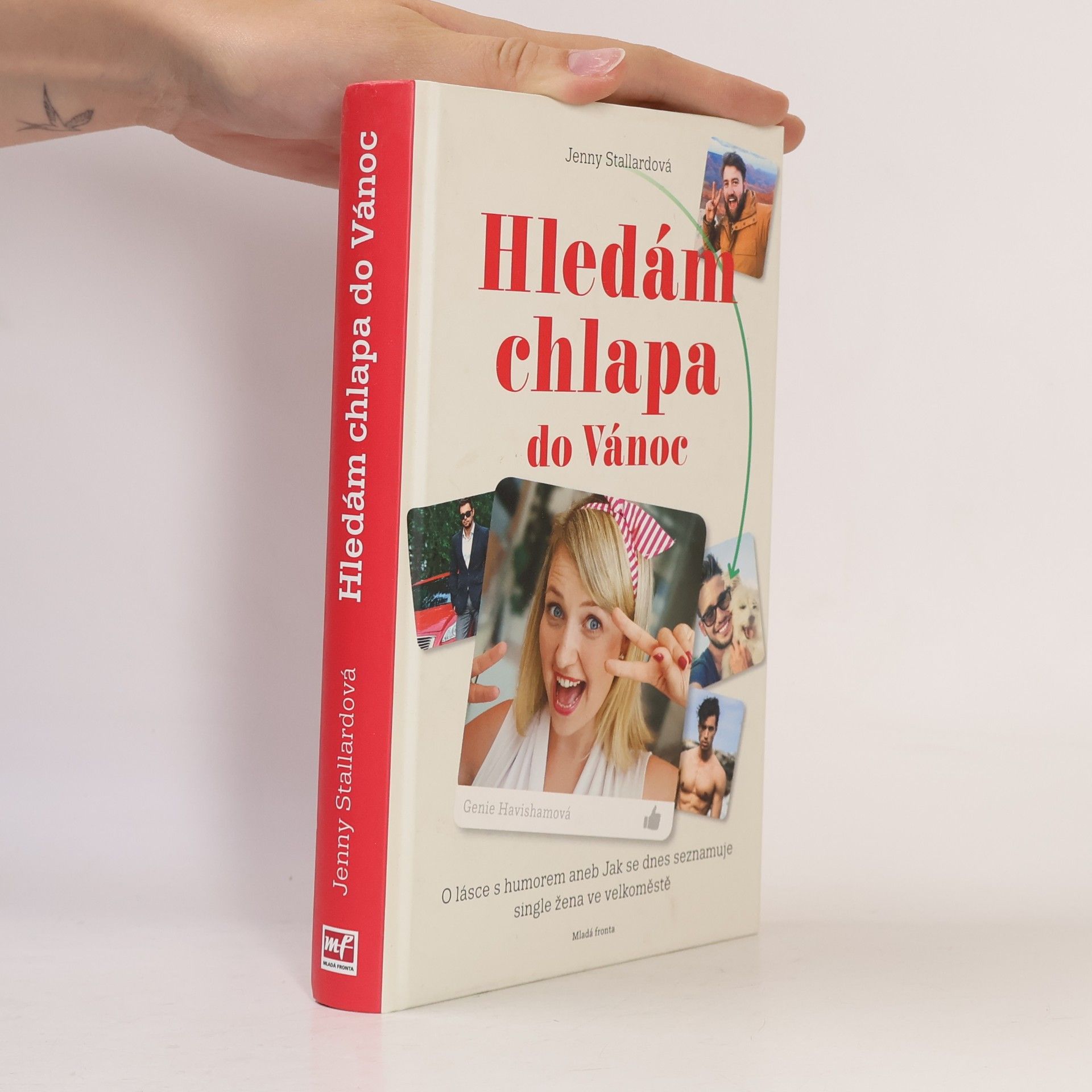 Jenny Stallard Hledám chlapa do Vánoc