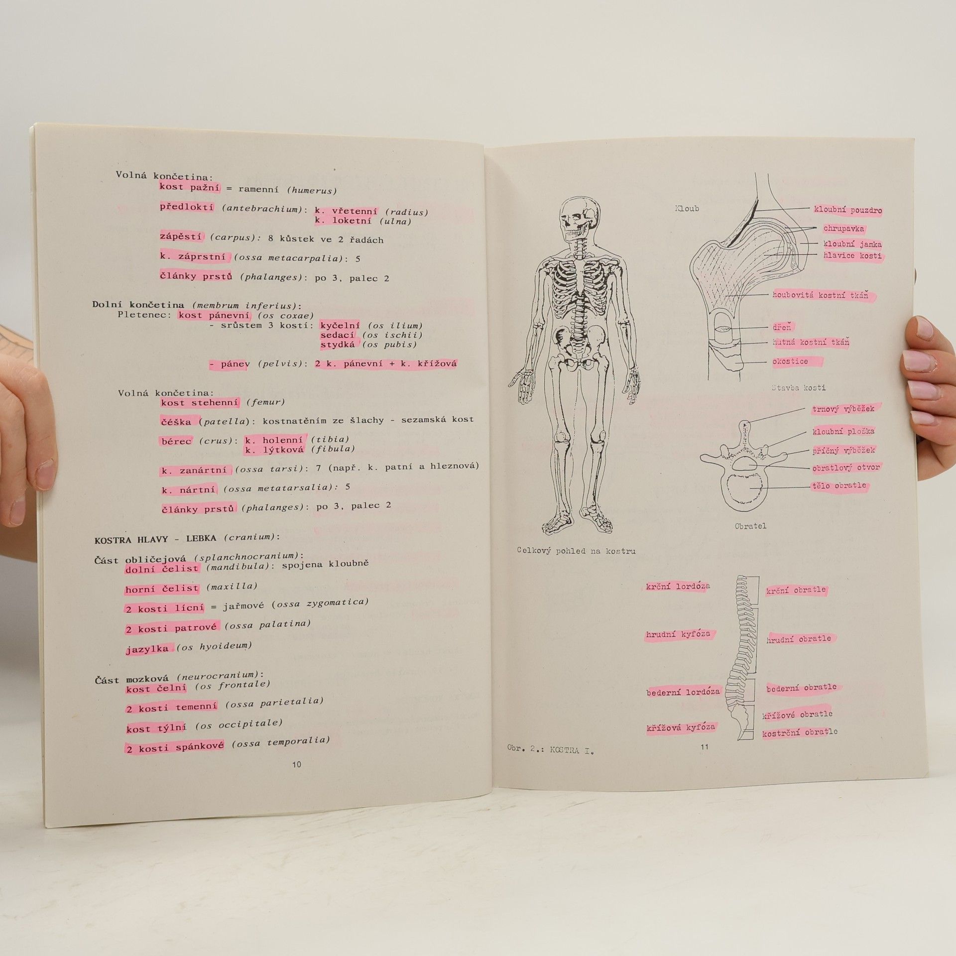 František Kislinger Biologie III. Základy biologie člověka