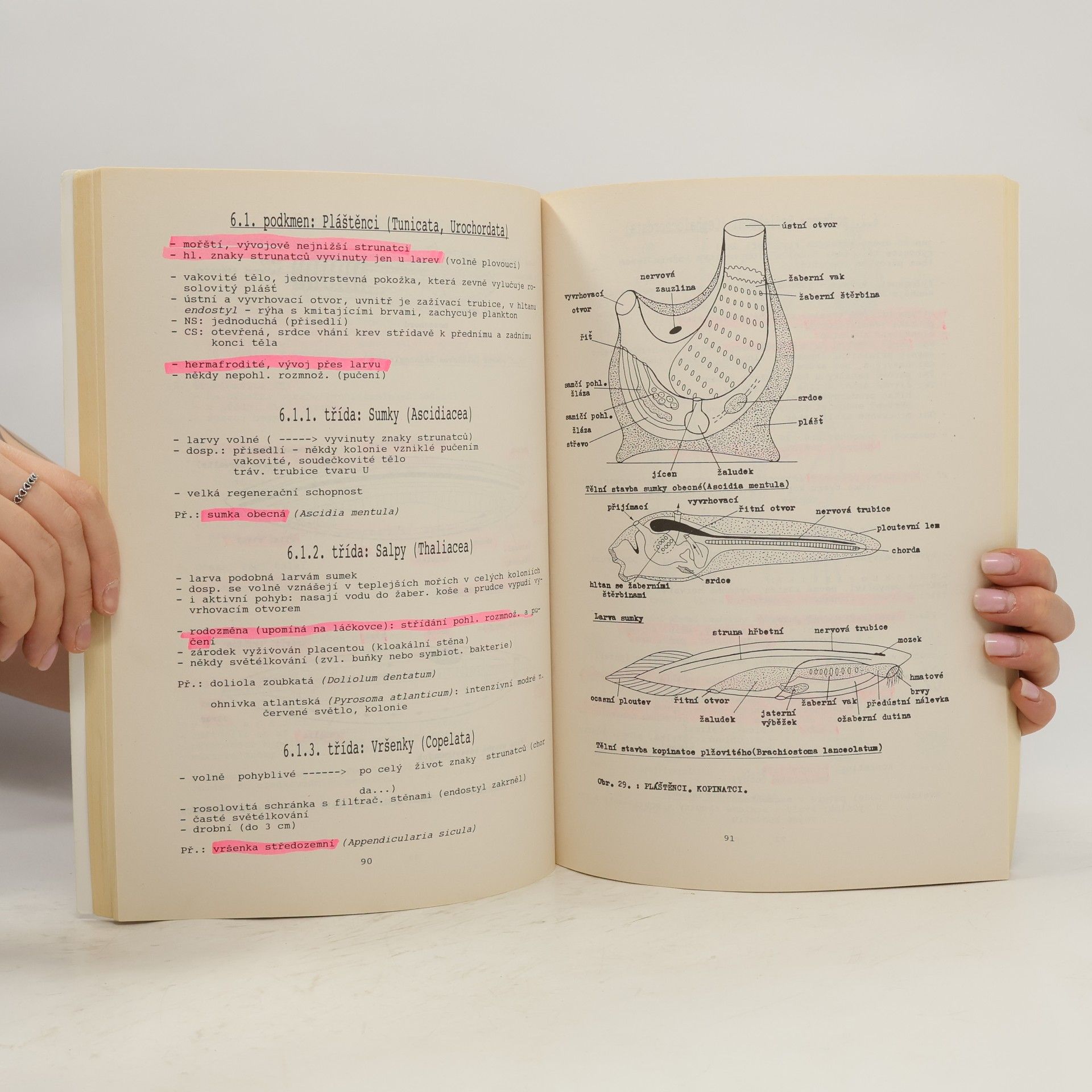 František Kislinger Biologie II. Základy zoologie