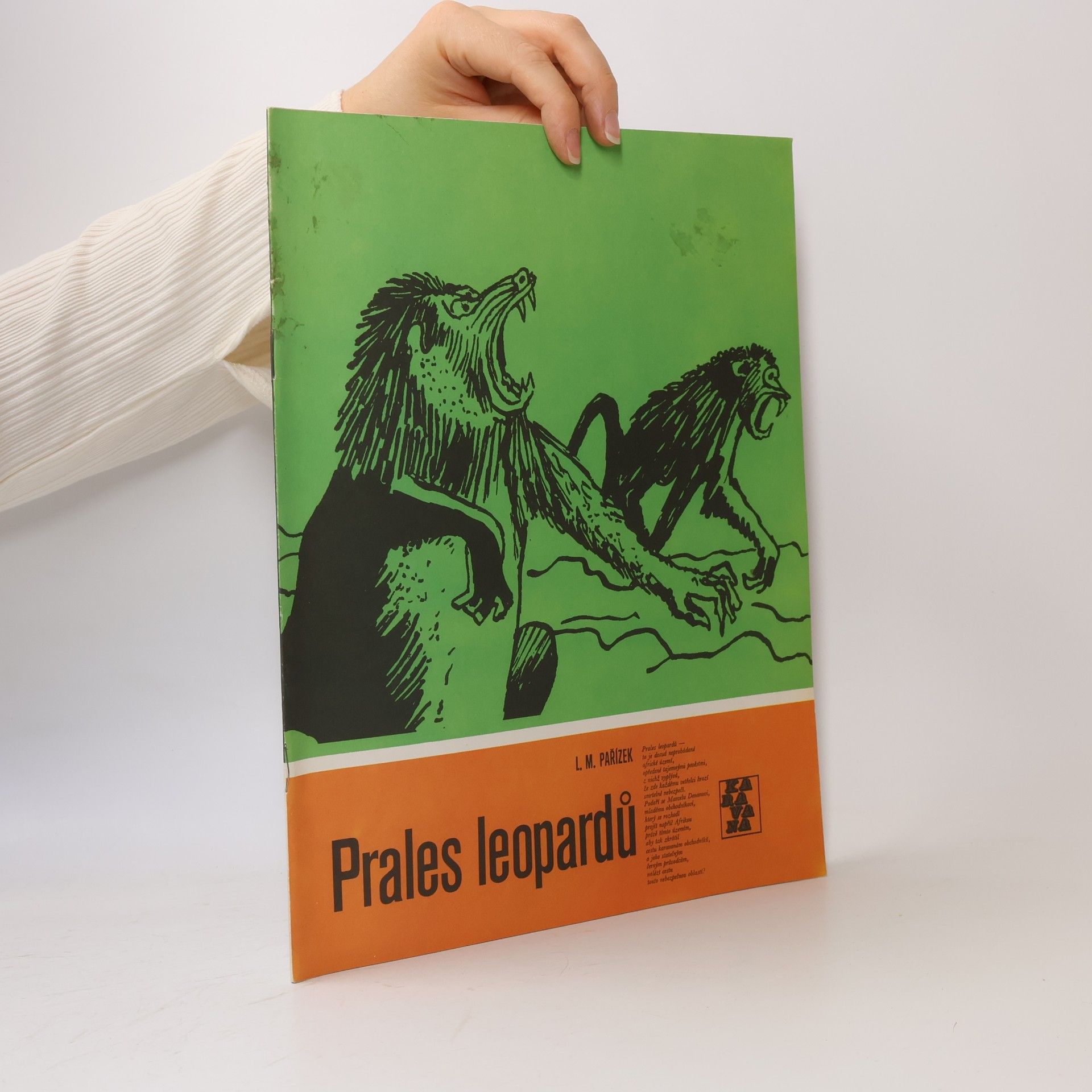 Ladislav Mikeš Pařízek Prales leopardů