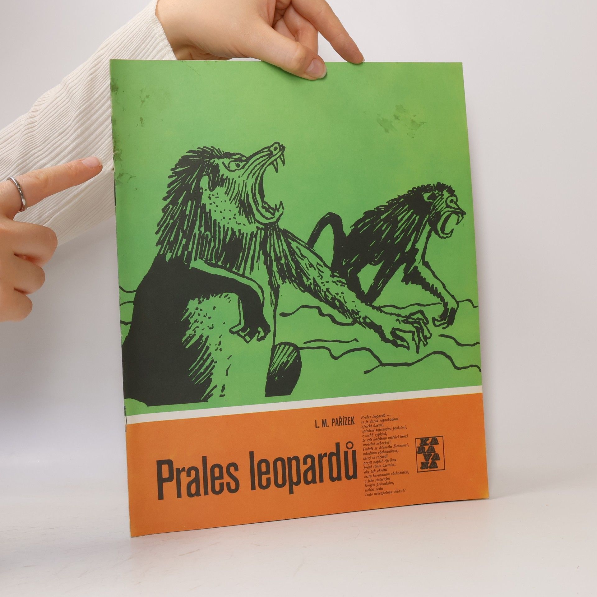 Ladislav Mikeš Pařízek Prales leopardů