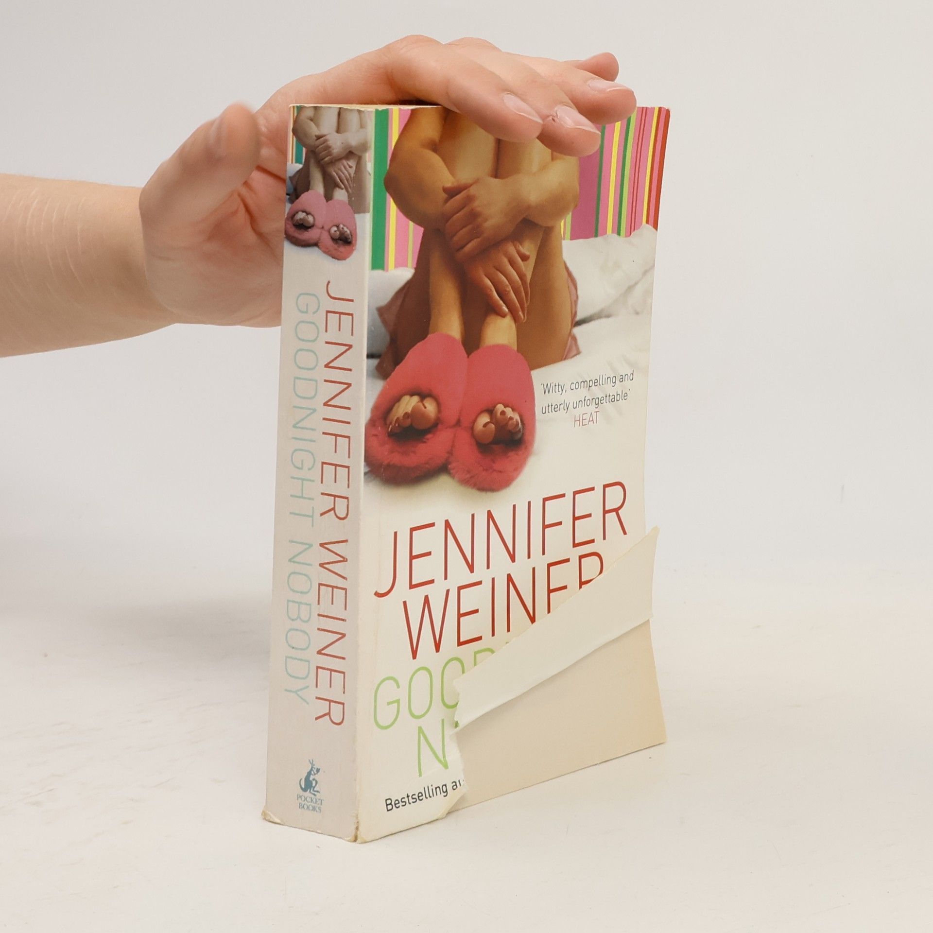 Jennifer Weiner Goodnight Nobody