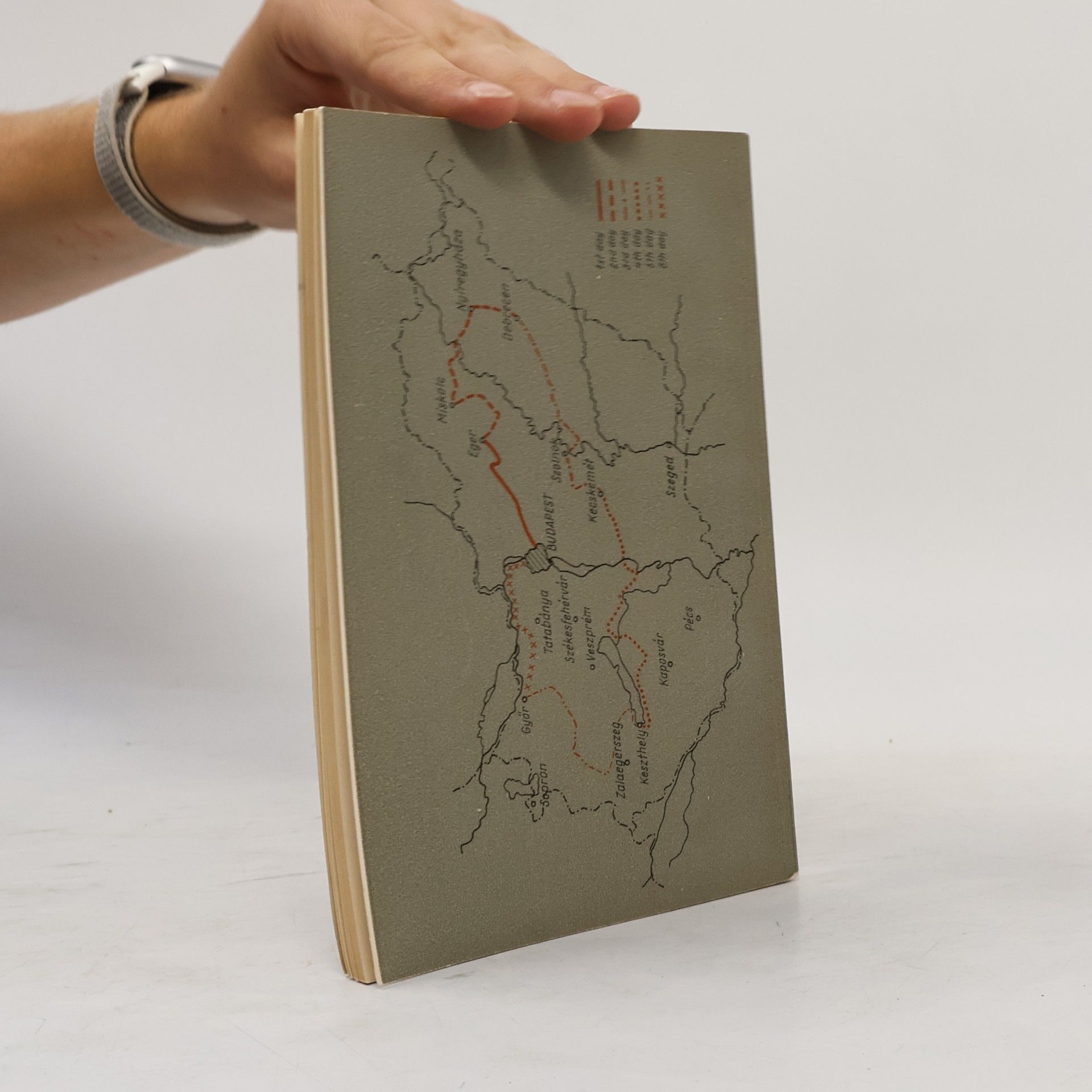 Various authors The Quaternary of the Hungarian Basin