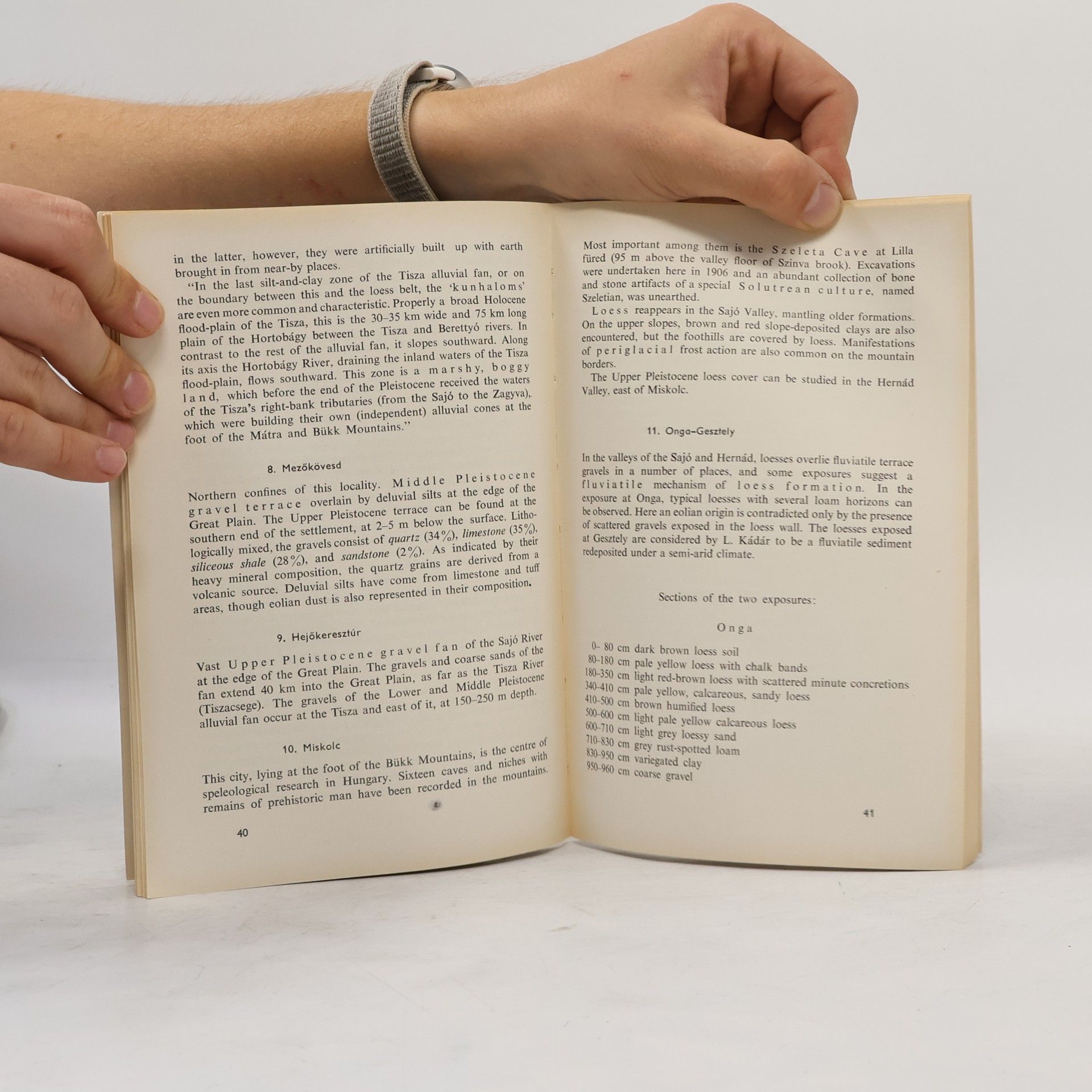 Various authors The Quaternary of the Hungarian Basin