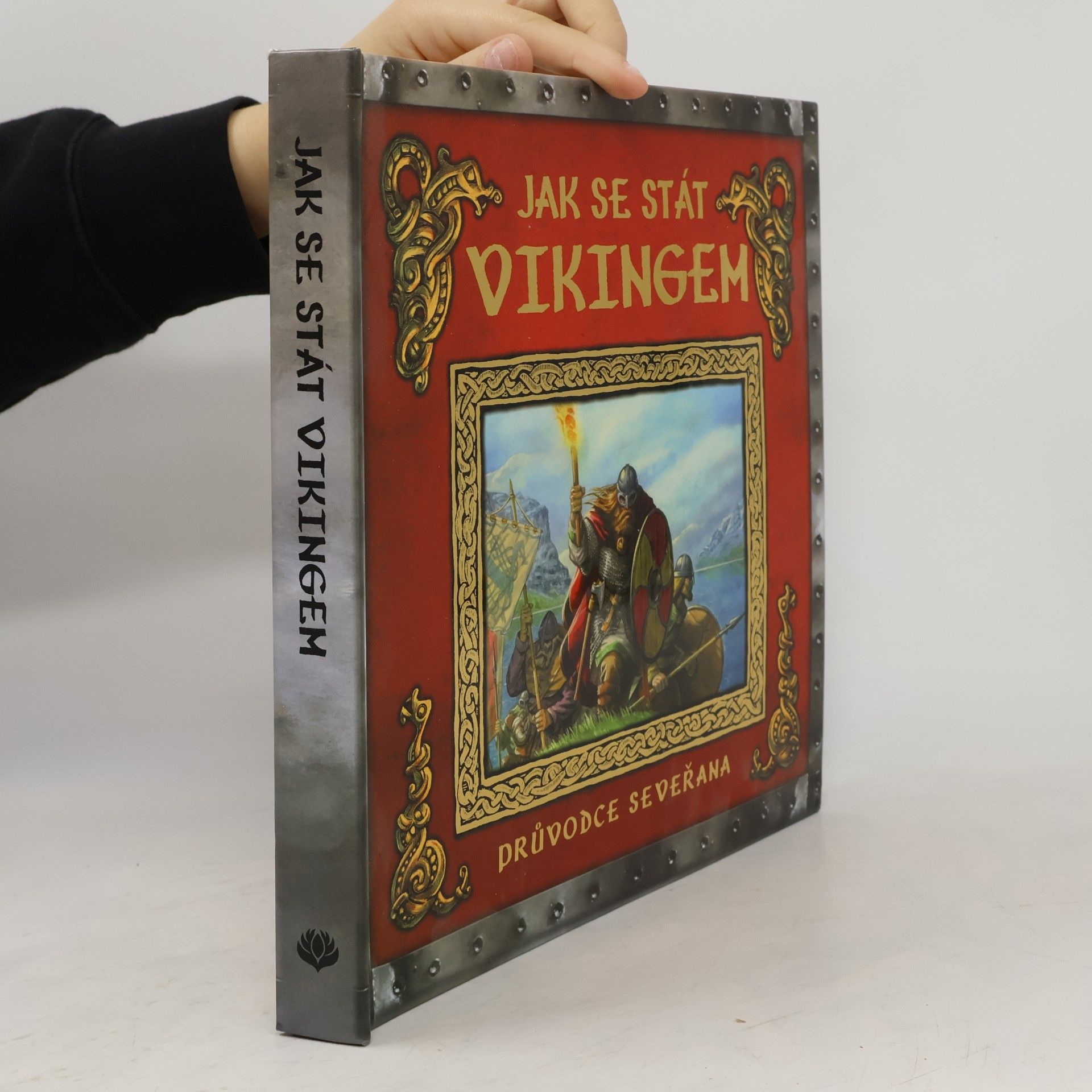 Ari Berk Jak se stát vikingem - Průvodce seveřana