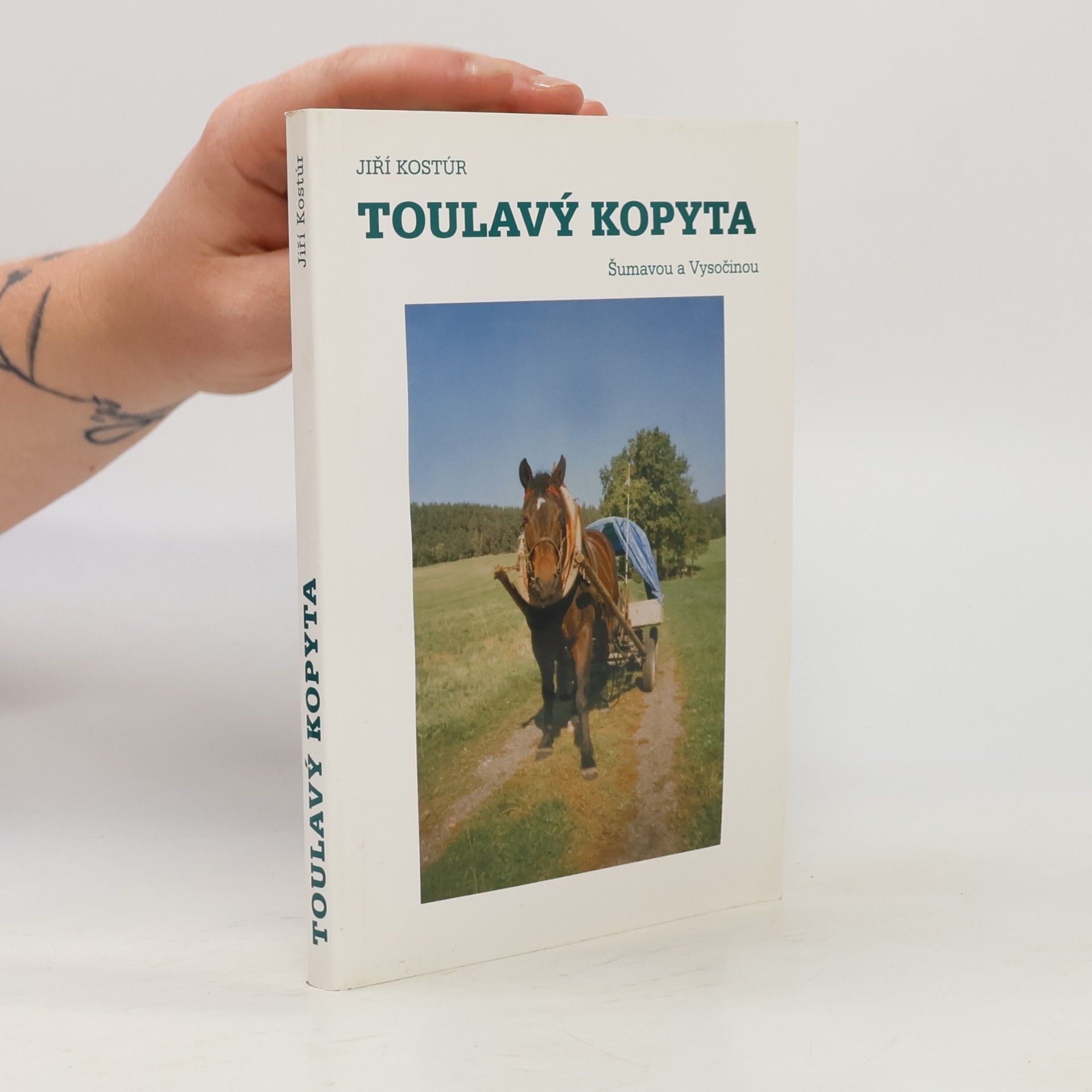 Jiří Kostúr Toulavý kopyta