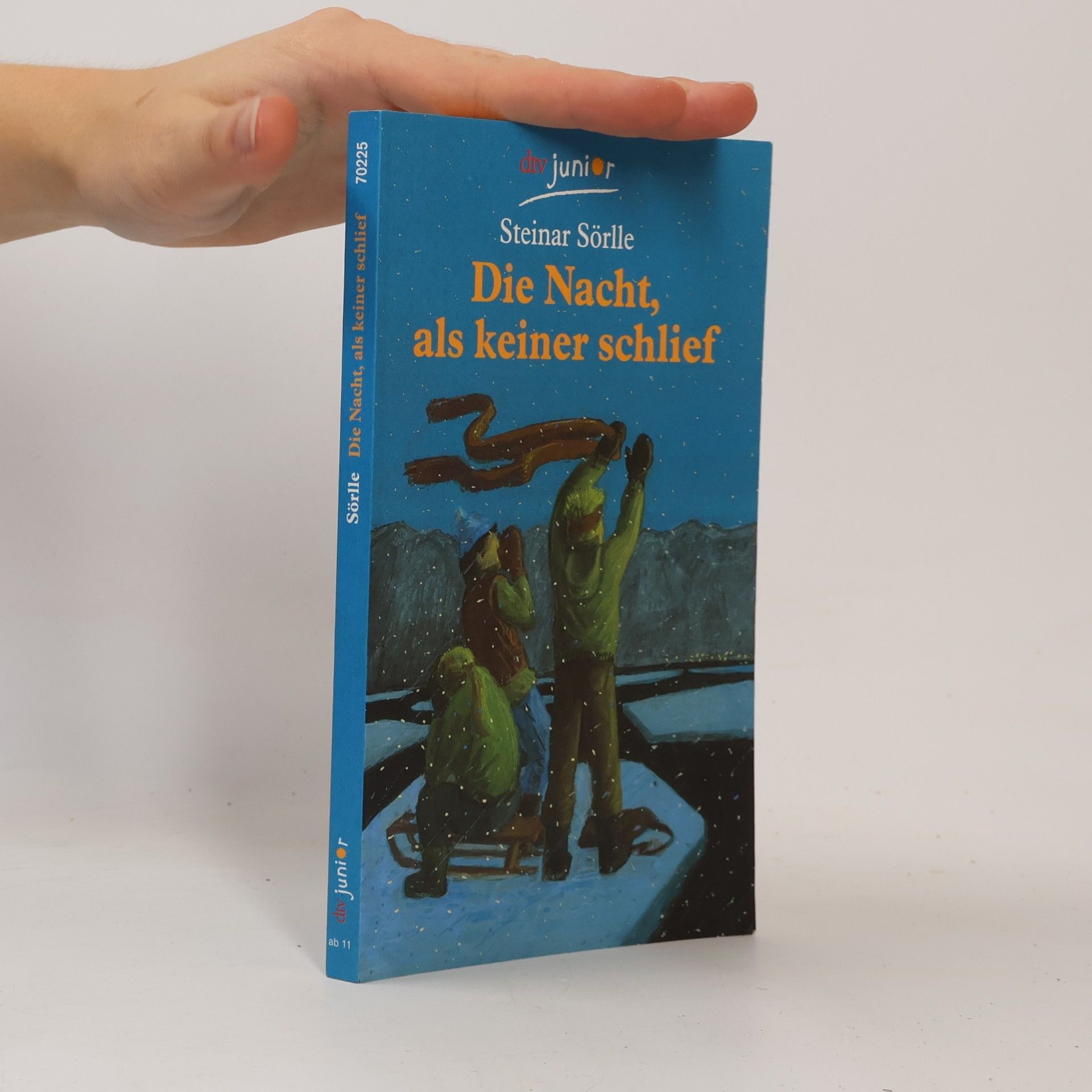Steinar Sörlle Die Nacht, als keiner schlief