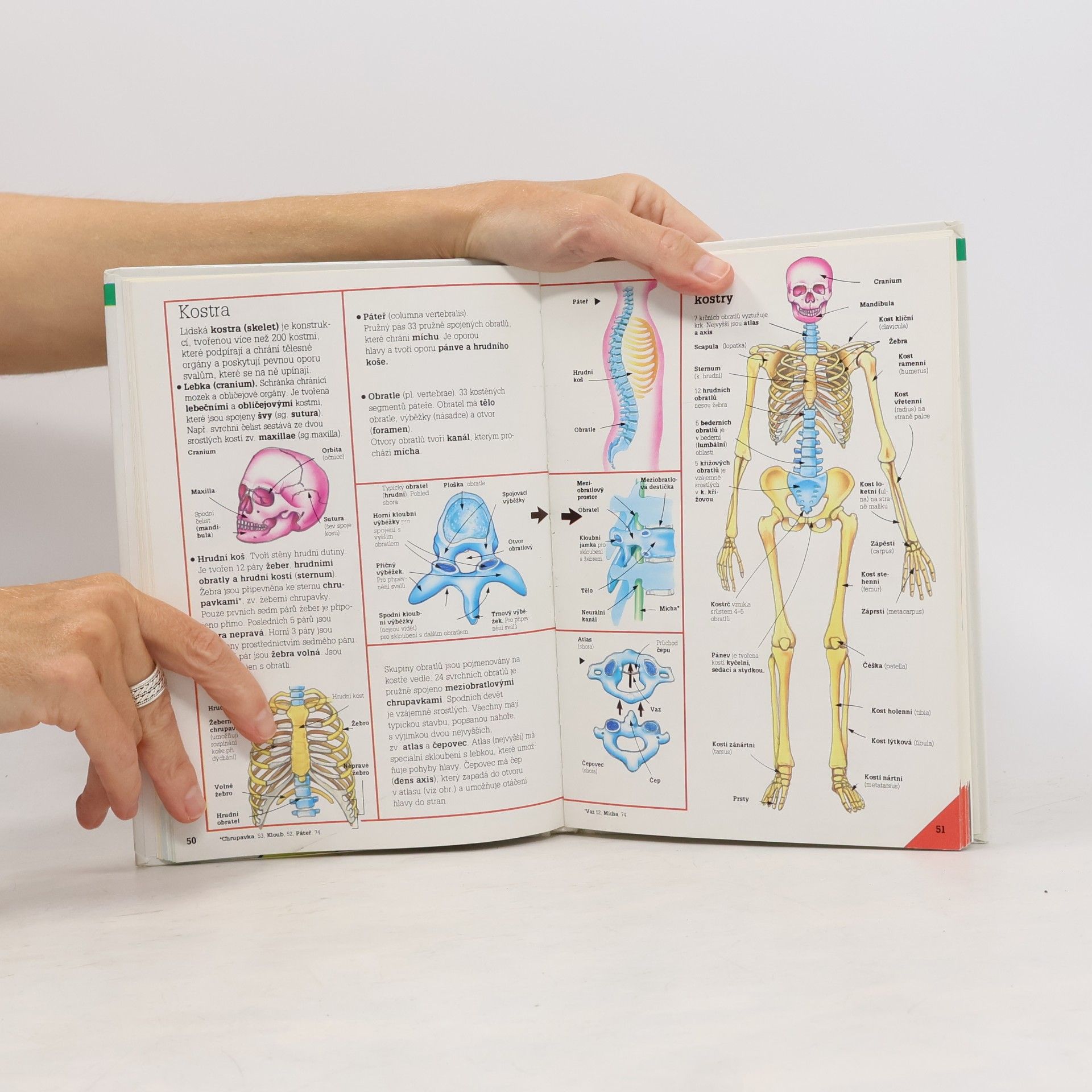 Corinne Stockley Ilustrovaný přehled BIOLOGIE