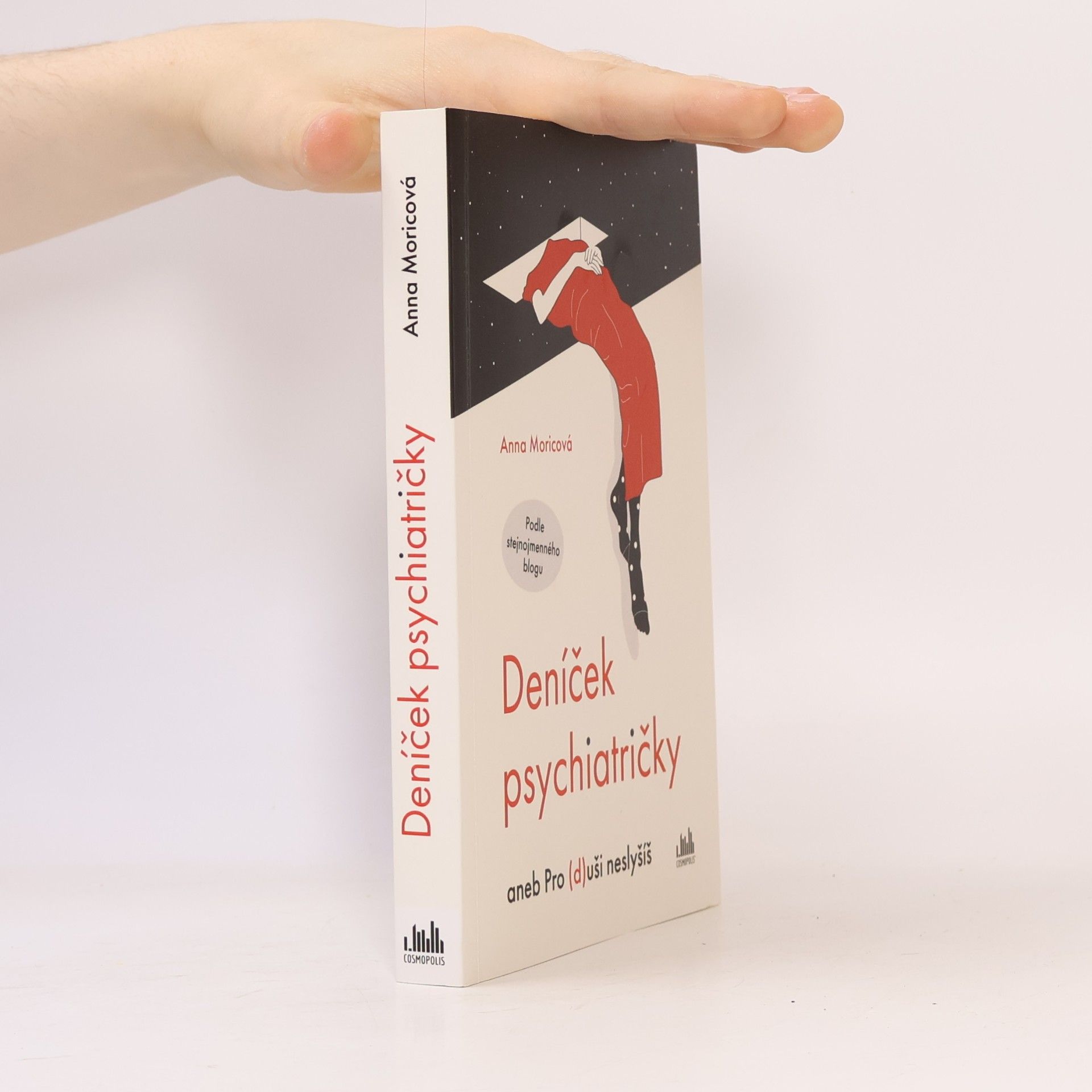 Anna Moricová Deníček psychiatričky