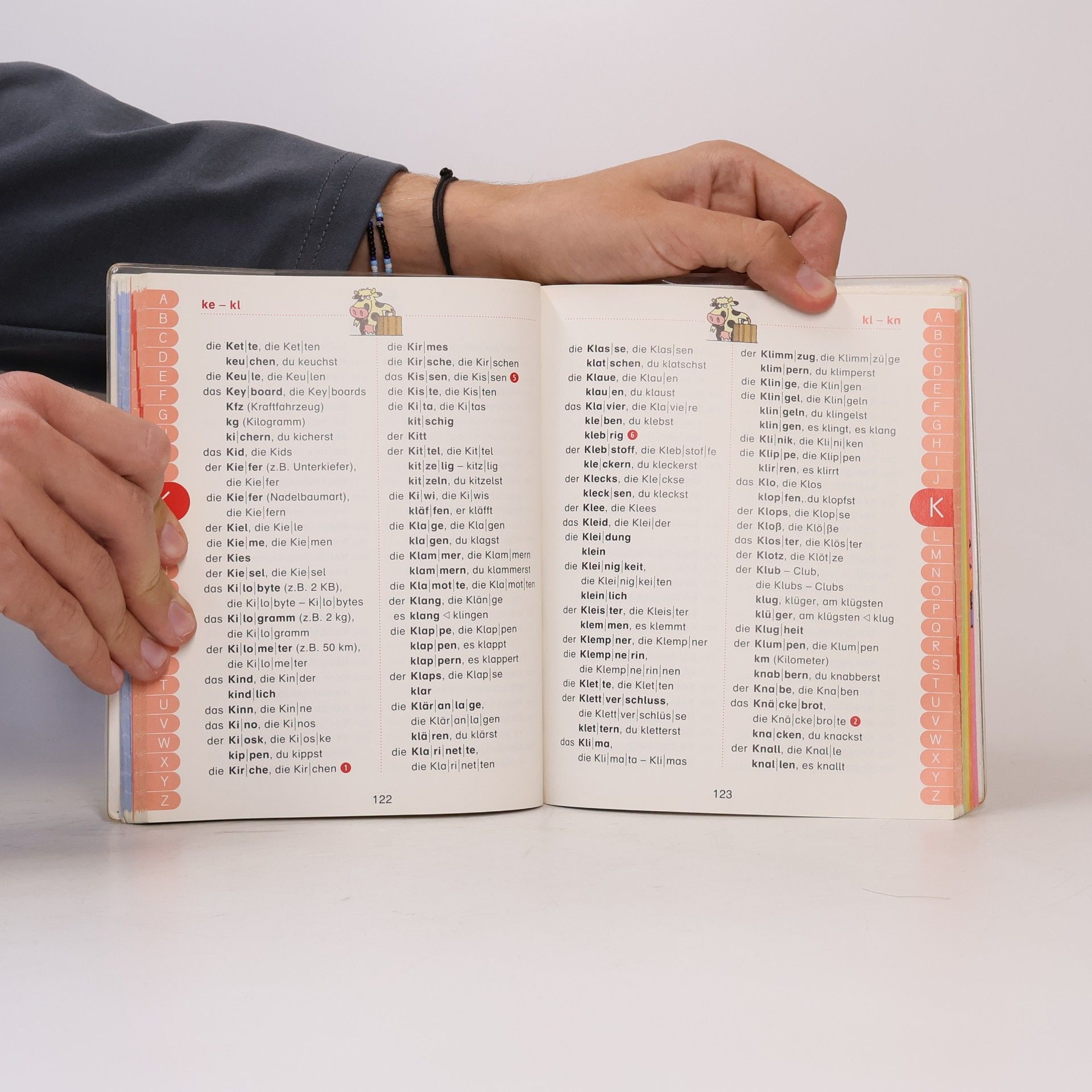 Oldenbourg Schulbuchverlag Wörterbuch mit vereinfachter Ausgangsschrift