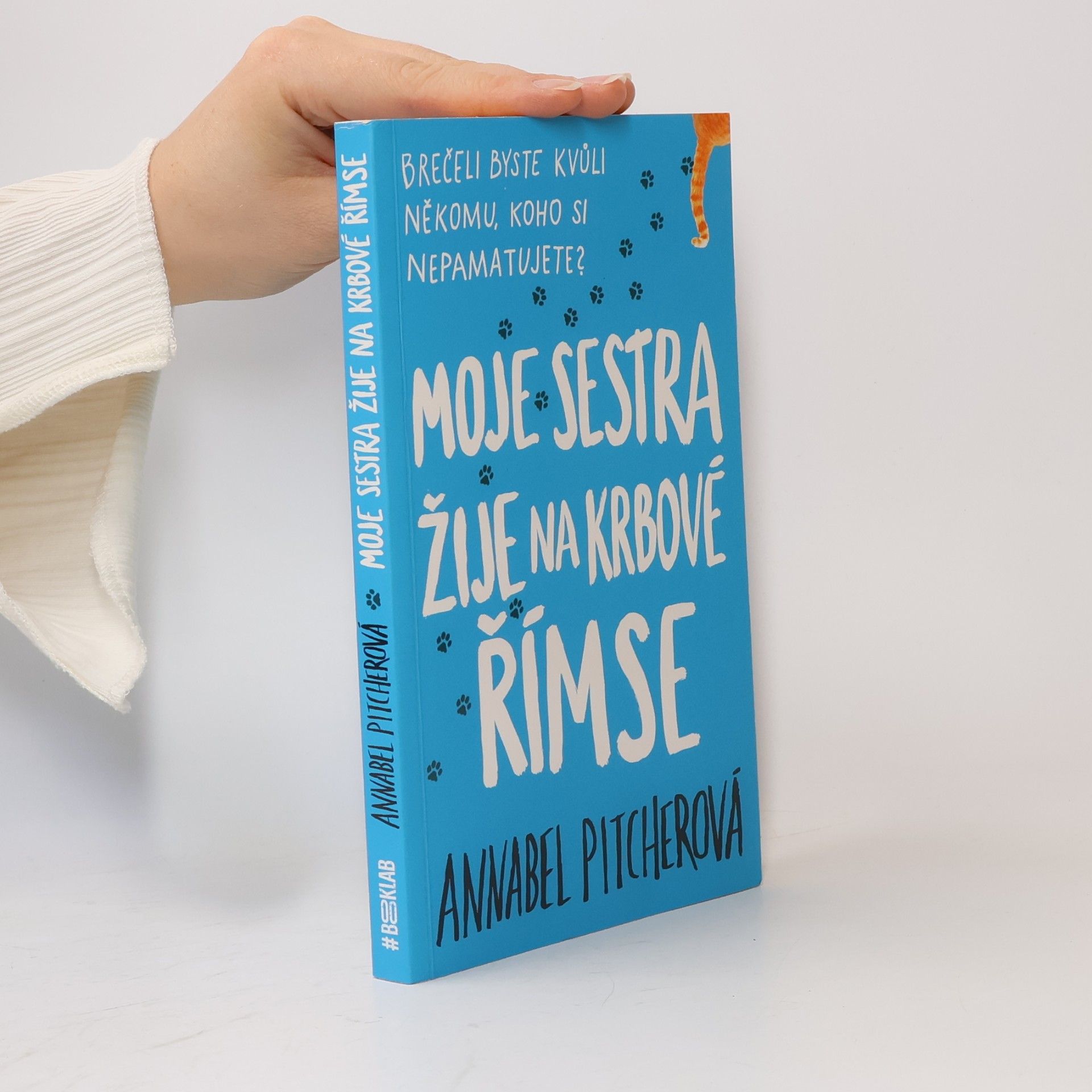 Annabel Pitcher Moje sestra žije na krbové římse