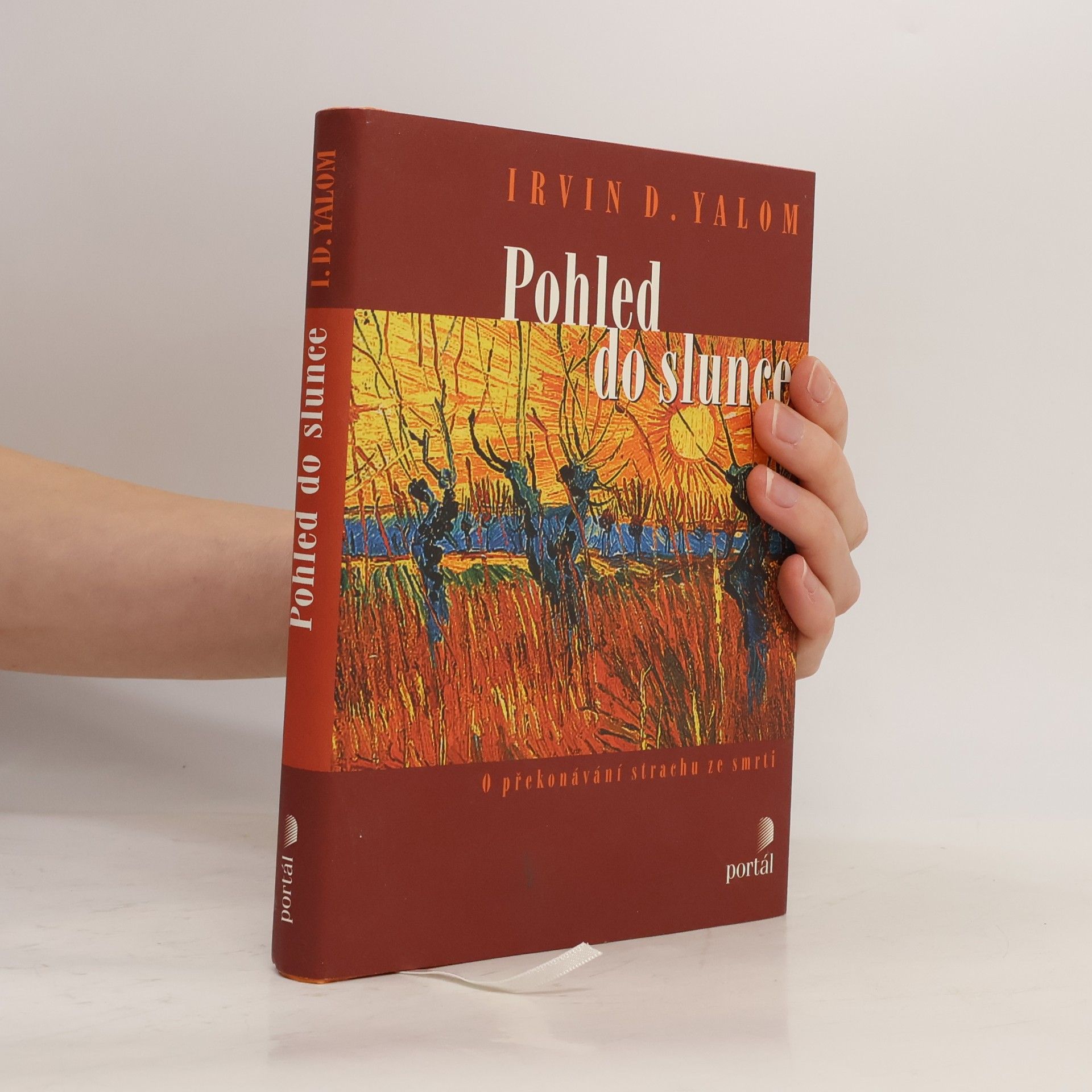 Irvin Yalom Pohled do slunce