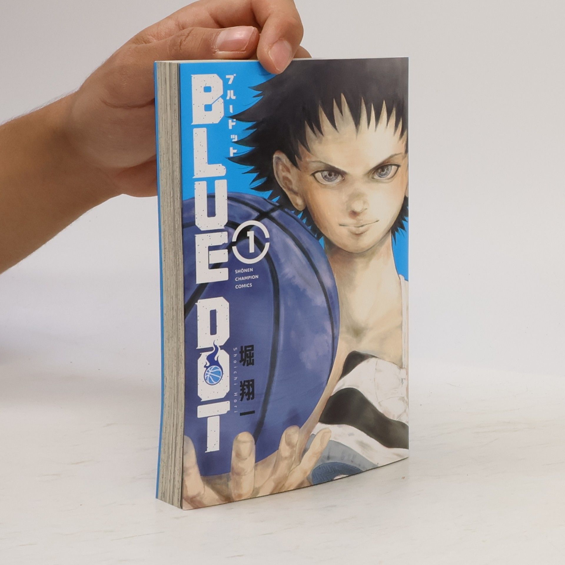 Shoichi Hori BLUE DOT 1