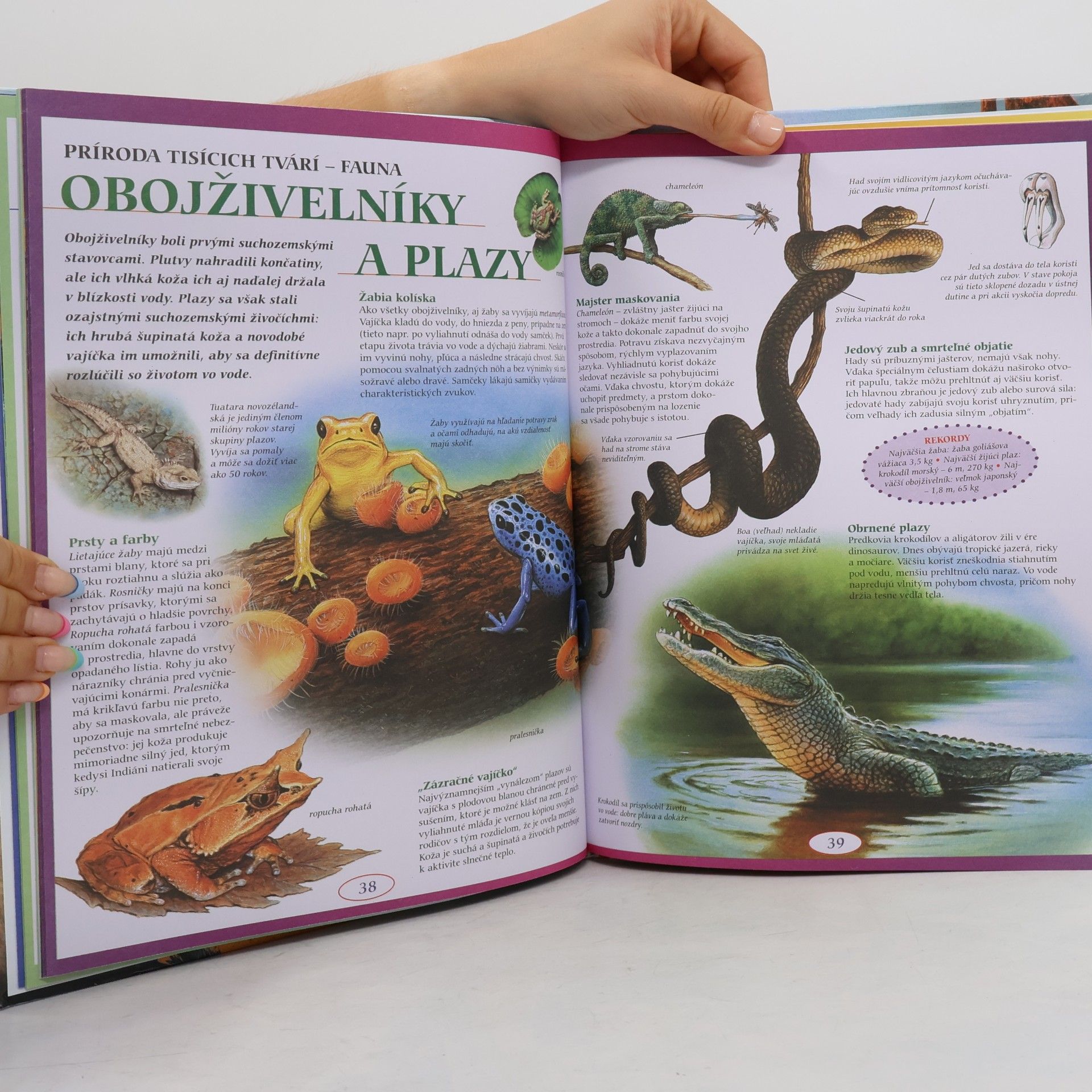 Kolektív autorov Veľká ilustrovaná encyklopédia pre deti (2.vydanie)