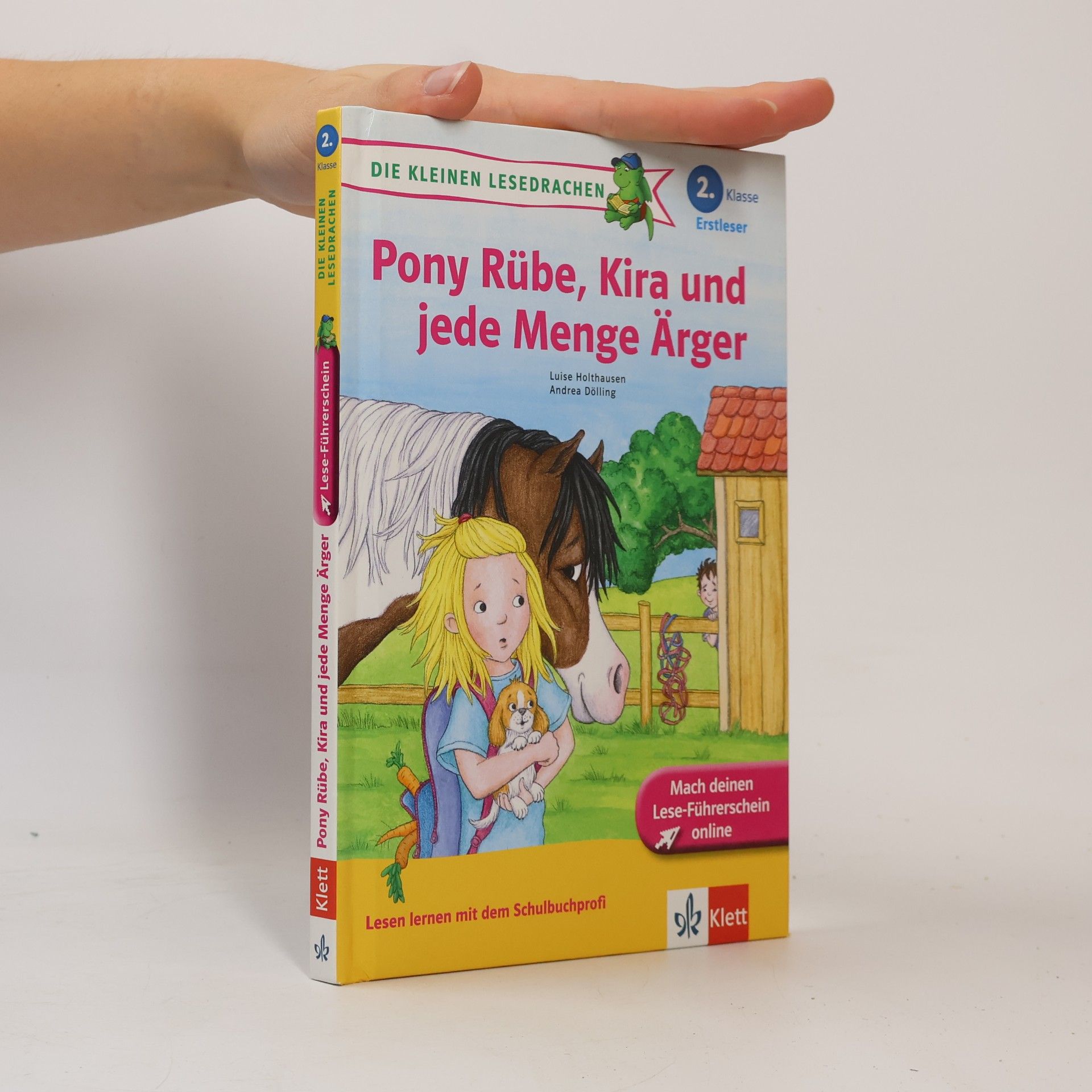Luise Holthausen Pony Rübe, Kira und jede Menge Ärger