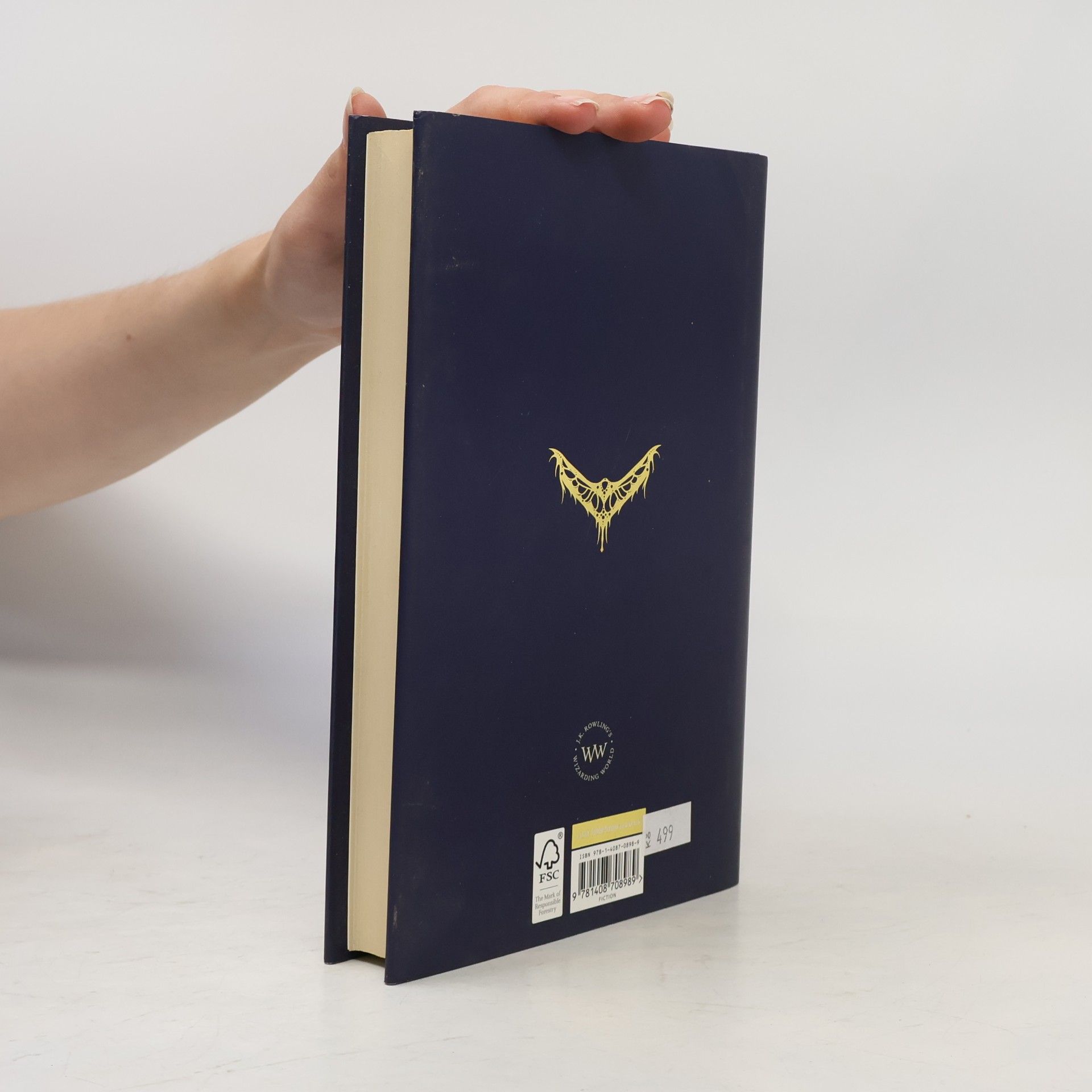 J. K. Rowling Fantastic Beasts And Where to Find Them