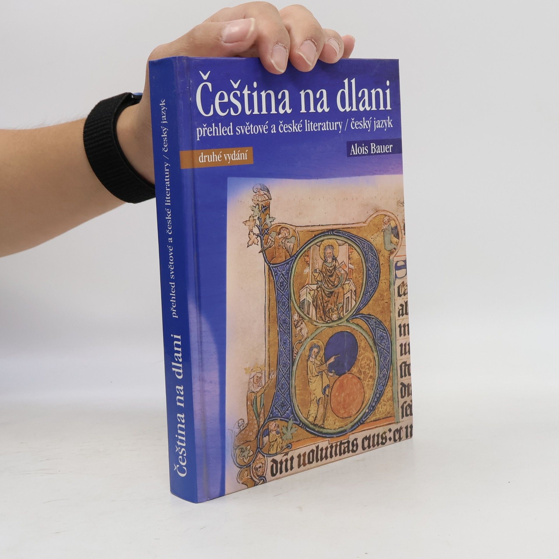 Alois Bauer Čeština na dlani. Přehled světové a české literatury